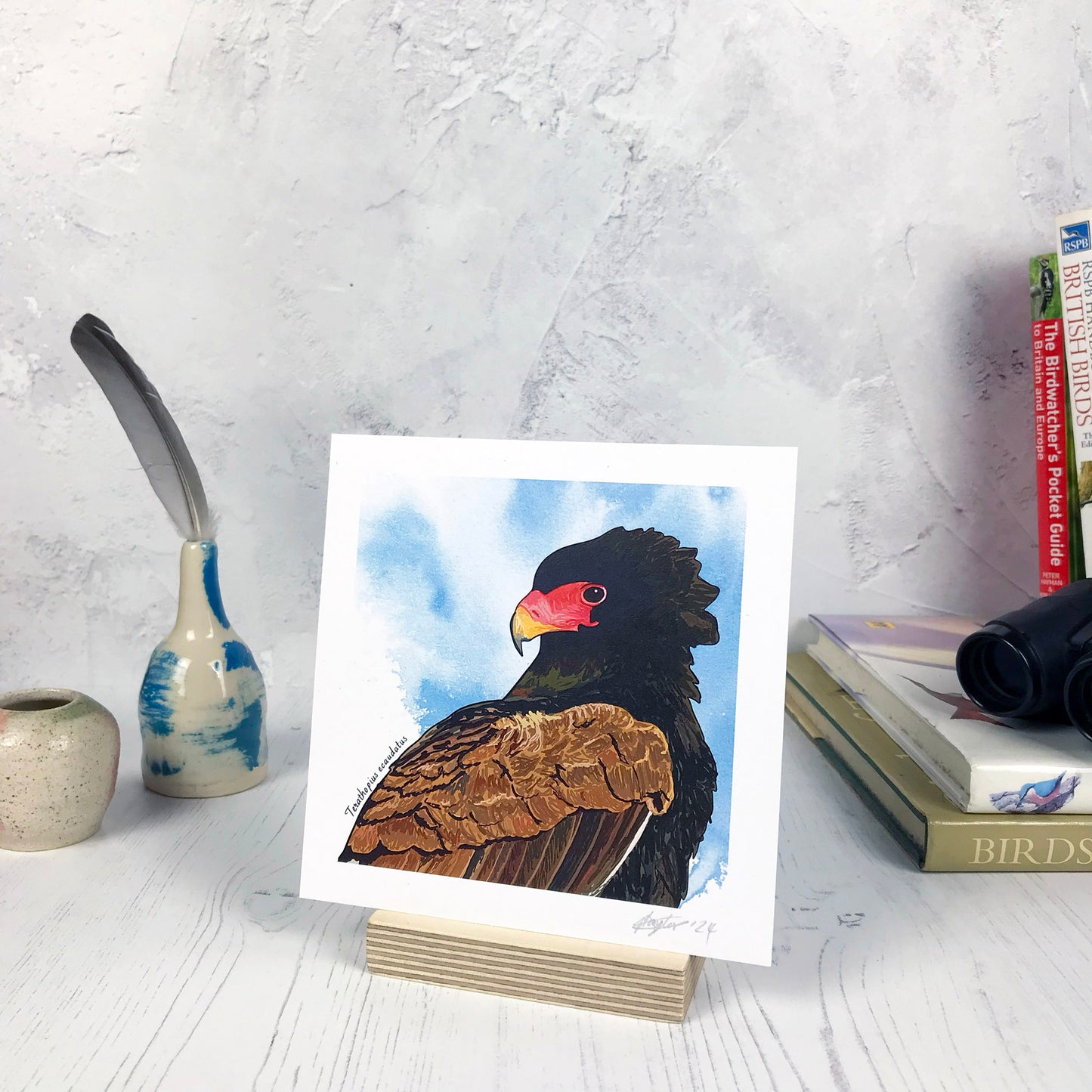 A photo of a small sized 14 cm square art print made from an original digital illustration by Loadofolbobbins. It is a close up of a Bateleur eagle. It’s bright pink red beak and face is a stark contrast to its rich dark black brown feathers. The background is a light blue inky wash. There is a 2.5 cm white border for framing.