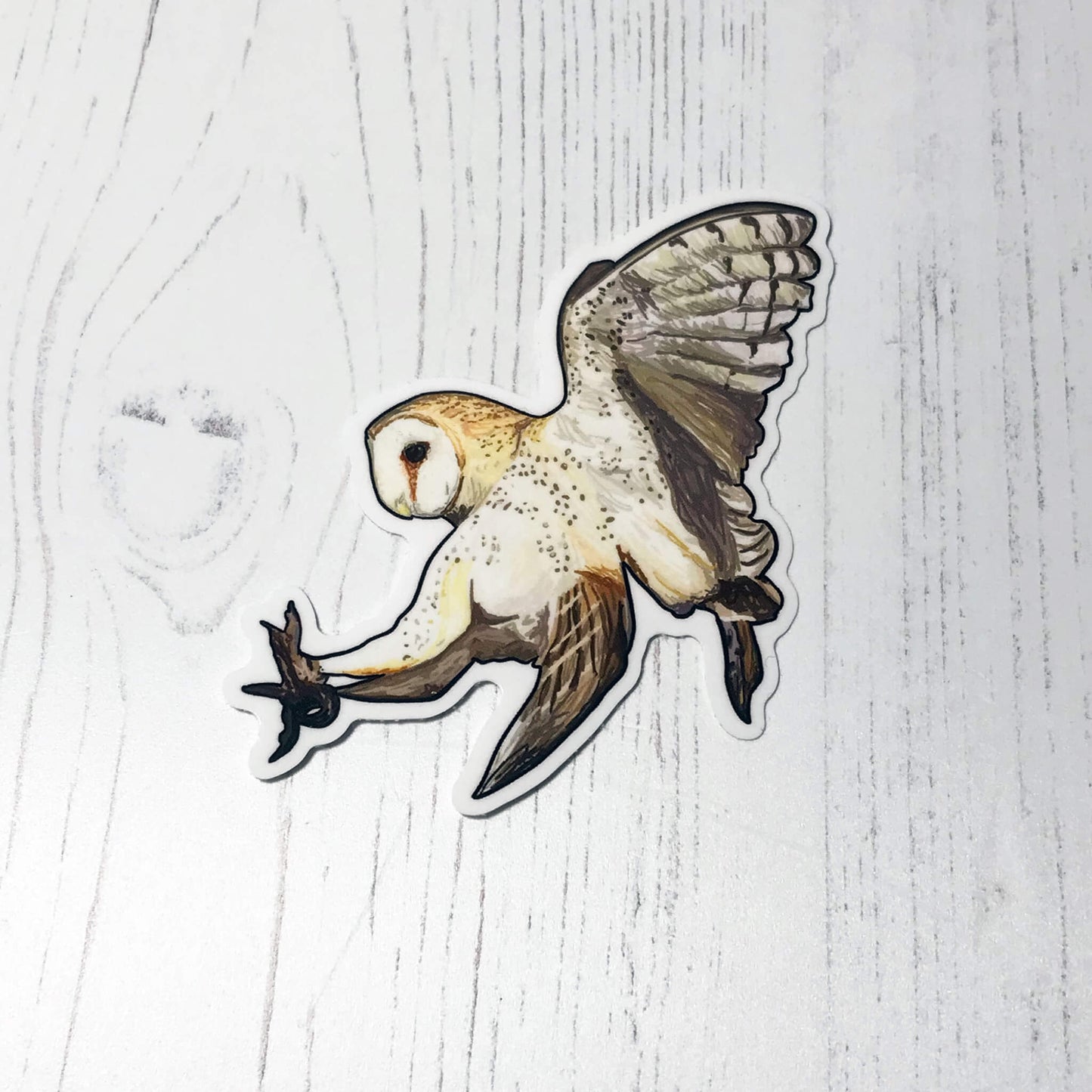 A photo of an eco-friendly glossy sticker about 8cm in height and width. The sticker is of original digital illustration by Loadofolbobbins showing a Barn Owl in flight. The owl is swooping with claws beneath it to catch prey. It’s wings are together behind it caught in the upward flapping motion. The colouring of the owl is a combination of creams and browns with dark speckled markings across the body, underwing and head.