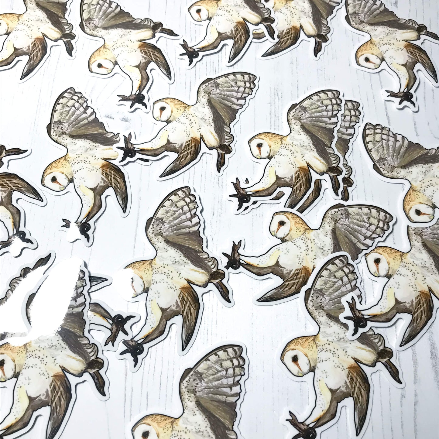 A photo of lots of eco-friendly glossy stickers about 8cm in height and width. The stickers are of an original digital illustration by Loadofolbobbins showing a Barn Owl in flight. The owl is swooping with claws beneath it to catch prey. It’s wings are together behind it caught in the upward flapping motion. The colouring of the owl is a combination of creams and browns with dark speckled markings across the body, underwing and head.