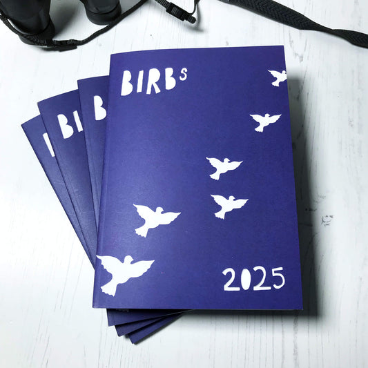 A photo of a pile of four zines by Loadofolbobbins. The cover is dark blue and shows a papercut style illustration of the title which is Birbs 2025 and a series of flying bird silhouettes in a diagonal from left to right.