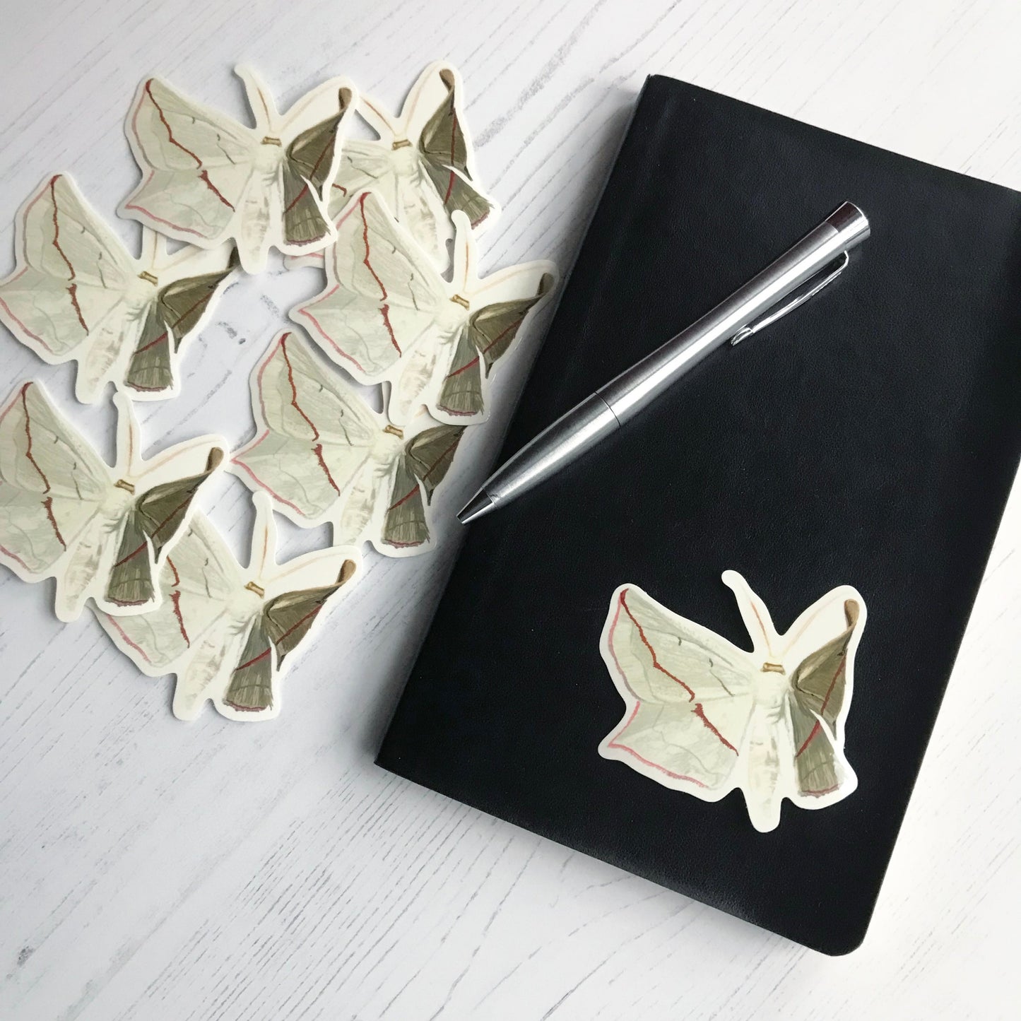 A blood-vein moth sticker created from an original digital illustration by Loadofolbobbins. The moth is mid wing flap during flight. A light cream coloured moth with a striking red line mark that goes across all four wings. The edge of each wing also has a tinge of red at the edges. It’s segmented lower abdomen and slightly fluffy upper body are the same light cream colour as the wings. It has long feathered light antennae. The sticker is on a black notebook with a pen resting on it.
