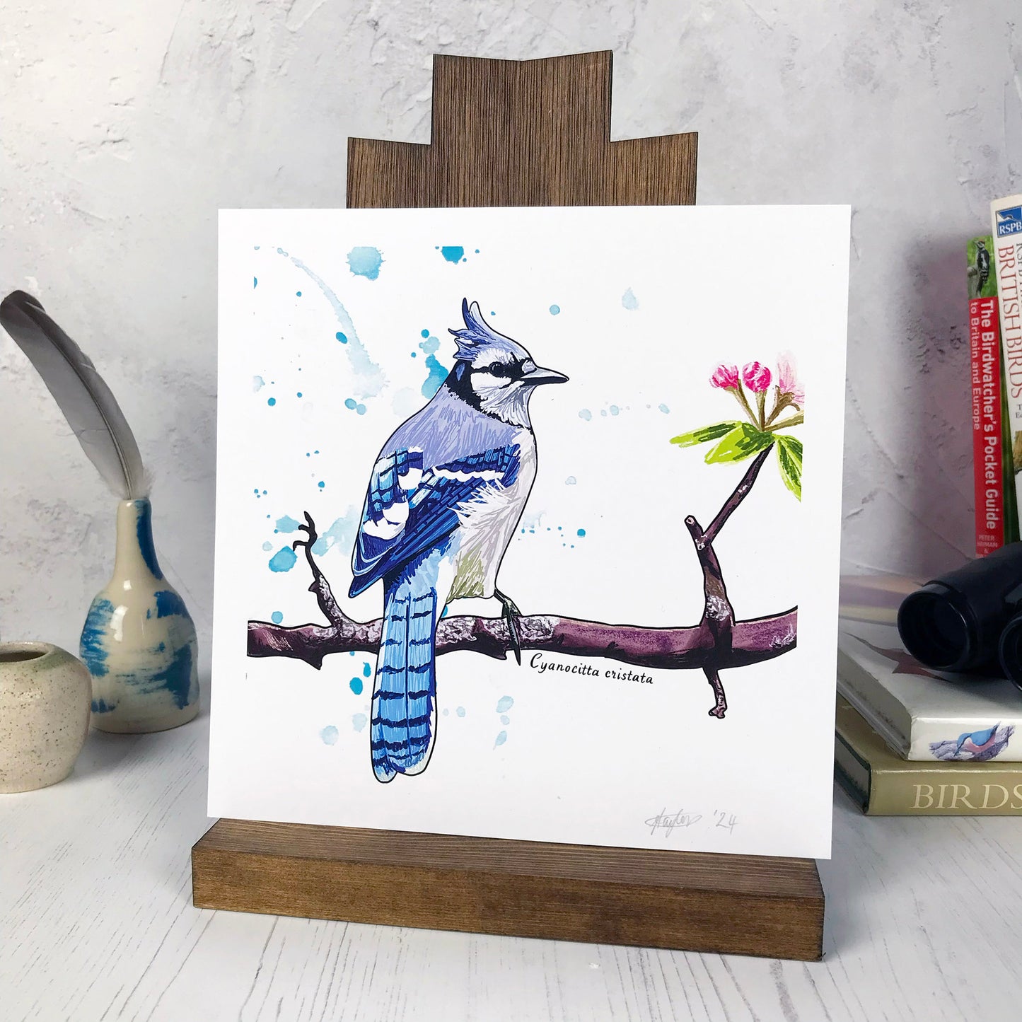 A photo of a medium sized 21 cm square art print made from an original digital illustration by Loadofolbobbins. It is of a bluejay bird perching on a reddish brown gnarled branch with blossom buds on. The bird has it’s back to the viewer, it’s head turned to the right so you can see it’s profile. It has a crest of feathers on its head that are light blue like the back feathers. Face and under body is white. The background has some light blue inky splashes. There is a 2.5 cm white border for framing.