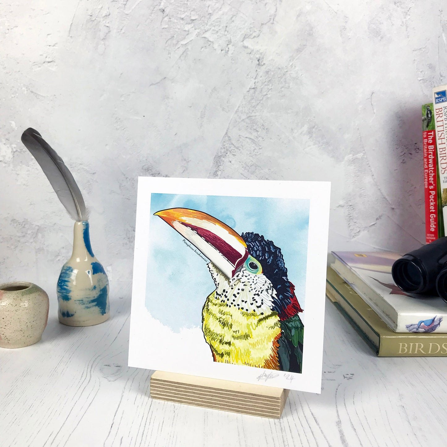 A photo of a small sized 14 cm square art print made from an original digital illustration by Loadofolbobbins. It is of a curl-crested Aracari bird with a bright light blue inky wash background. The bird has a toucan like beak large and curved with cream and dark red stripes and orange tip. The feathers are an incredible array of colours with light yellow front green wings and red and black back and head feathers. There is a 2.5 cm white border for framing.