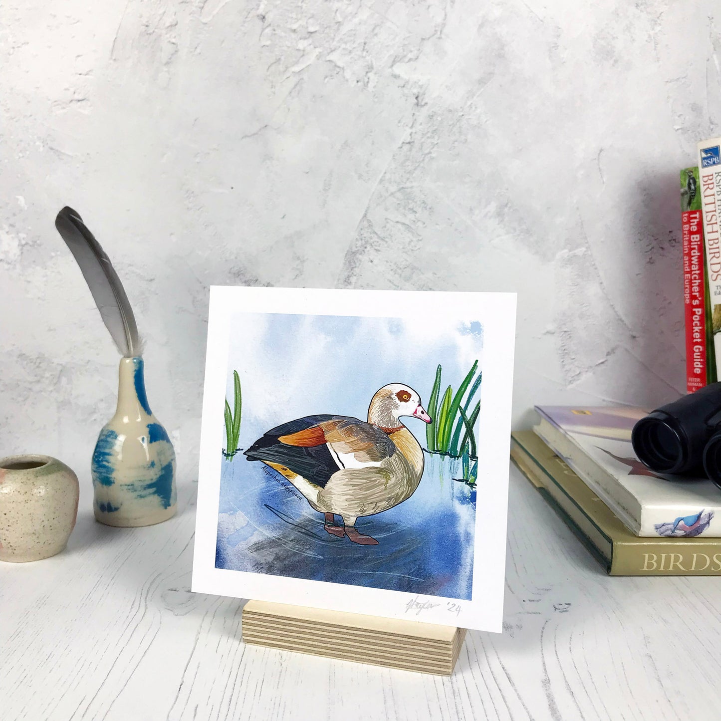 A photo of a small sized 14 cm square art print made from an original digital illustration by Loadofolbobbins. It is of an Egyptian goose standing in water with water reeds in the background. It has a glorious array of rich and pale brown feathers on it's chest, neck and upper wings. It has a bold brown patch around it's eye set against the rest of the white feathers their. The lower wings are a deep dark black. There is an inky blue was in the background. There is a 2.5 cm white border for framing.