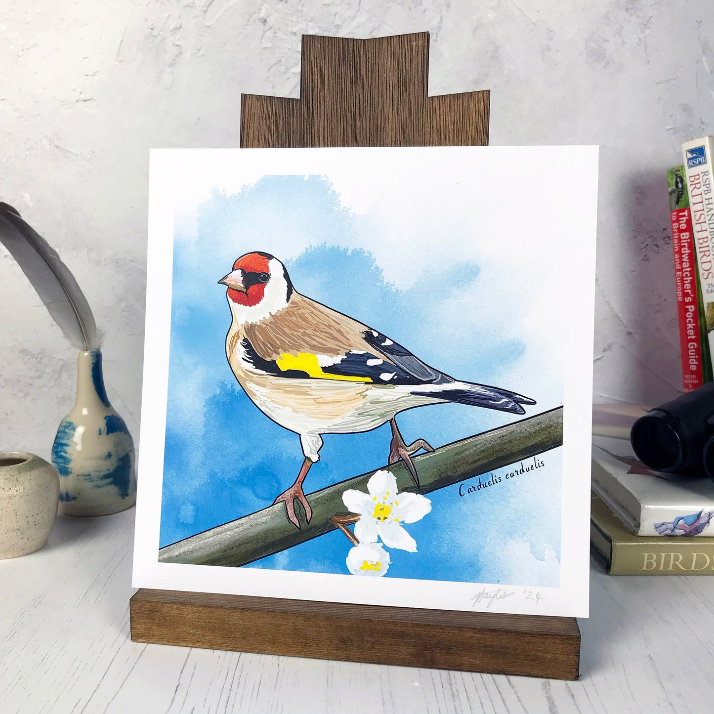 A photo of a medium sized 21 cm square art print made from an original digital illustration by Loadofolbobbins. It is of a European goldfinch, back facing the viewer, head turned and looking out towards the left. It has a bright red face with black eye band and a creamy white underbelly with brown wings which are black towards the end with flashes of white, also a bright yellow flash of feathers on their wing. It is perching on a branch with white tree blossoms. There is a 2.5 cm white border for framing.