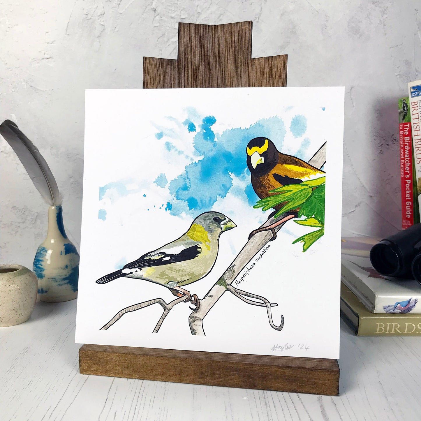 A photo of a medium sized 21 cm square art print made from an original illustration by Loadofolbobbins. It is of of two evening grosbeak birds perching on a branch, the foreground one is side on looking to the right and the one behind is looking towards the bird in front. The colours are bright and vibrant and their feathers are a mix greeny greys and flashes of bright yellow, black and white. There’s a turquoise inky splash in the background. There is a 2.5 cm white border for framing.