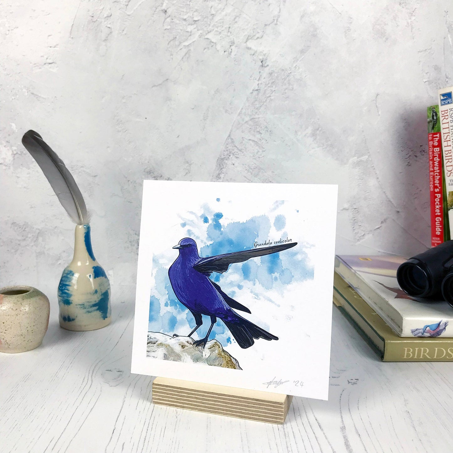 A photo of a small sized 14 cm square art print made from an original digital illustration by Loadofolbobbins. It is of a grandala bird perching on a rock. It has rich black wing and tail feathers with the rest of the body covered in vibrant bright blue feathers. This bird has one wing pointing to the right of the image and is standing on a rock. The background of the image is a dark turquoise inky splash. There is a 2.5 cm white border for framing.