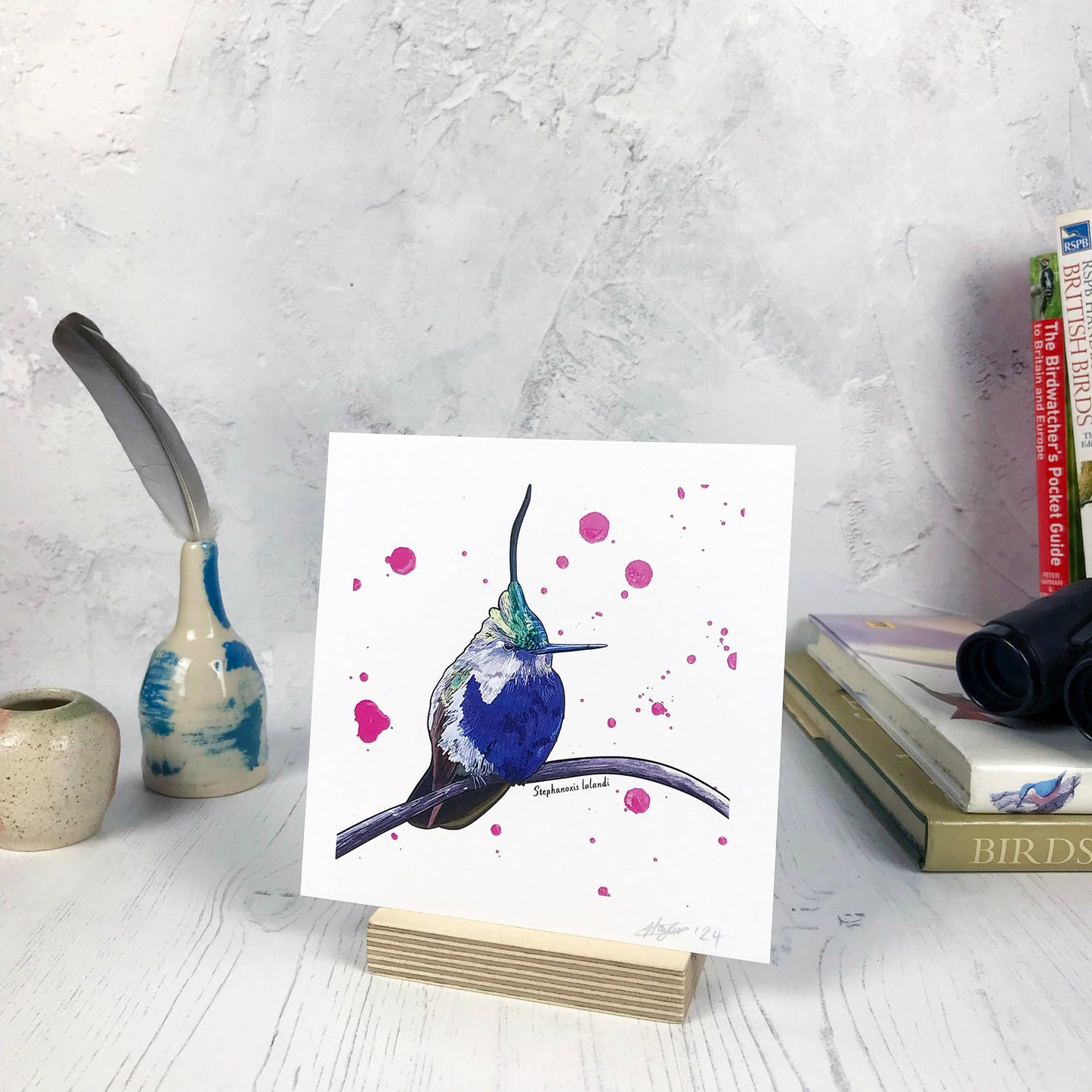 A photo of a small sized 14 cm square art print made from an original illustration by Loadofolbobbins. It is of a green crowned plovercrest, a very dinky puffball kind of bird with vibrant blue chest feathers, iridescent green head feathers with a very long black feather which looks mildly quiff like. The bird is perched on a branch and is drawn in front of a background of bright pink paint splatters. There is a 2.5 cm white border for framing.