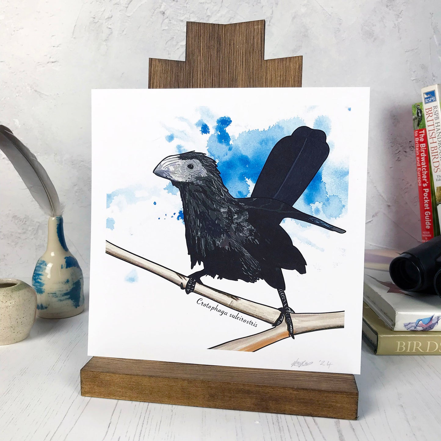 A photo of a medium sized 21 cm square art print made from an original digital illustration by Loadofolbobbins. It is of a groove billed ani perched on a branch with an inky blue splodgy paint wash behind it. Underneath the branch is the Latin name for the bird Crotophaga sulcirostris. It is a very prehistoric looking bird covered in black feathers and with long tail feathers that are standing upright. It has a large grey bill that has grooves on the top. There is a 2.5 cm white border for framing.