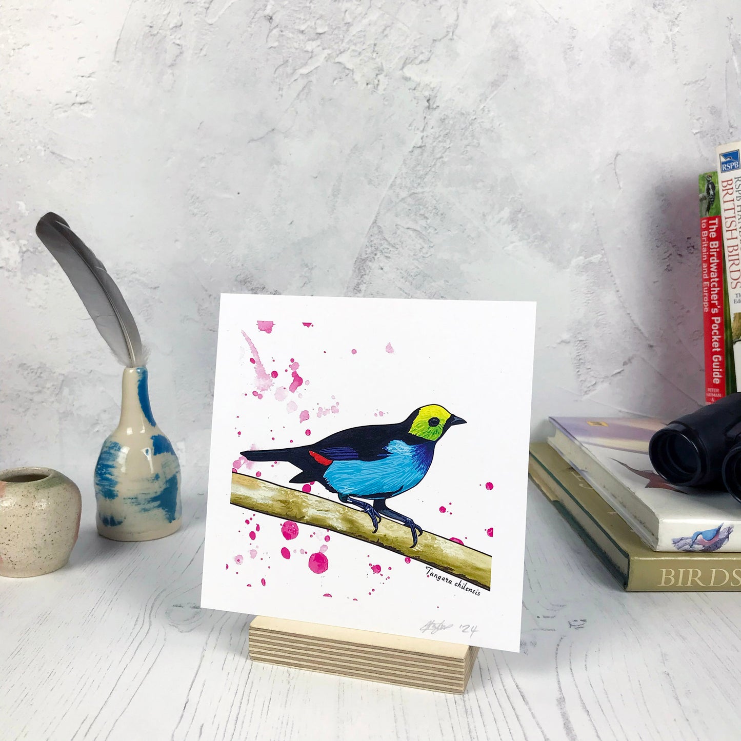 A photo of a small sized 14 cm square art print made from an original illustration by Loadofolbobbins. It is of a paradise tanager perching on a branch. The bird has black feathers on its back with a neon yellow green face bright turquoise front and flash of blue and red on it’s wings. The background of the illustration has splashes of inky pink paint. There is a 2.5 cm white border for framing.