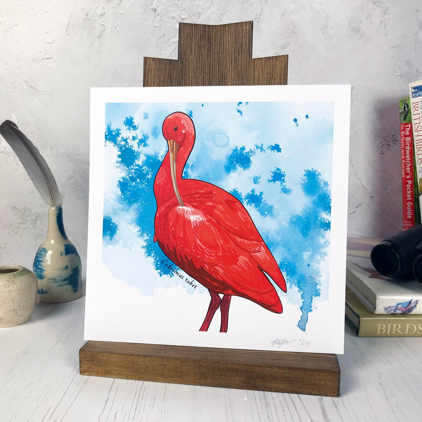 A photo of a medium sized 21 cm square art print made from an original digital illustration by Loadofolbobbins. It is of a Scarlet Ibis bird with it's head curled down slightly and it's long curved beak touch it's wing. It has vibrant red colouring all over and you can just see the start of it's long spindly red legs. The background is splashes and washes of rich turquoise blue ink. There is a 2.5 cm white border for framing.