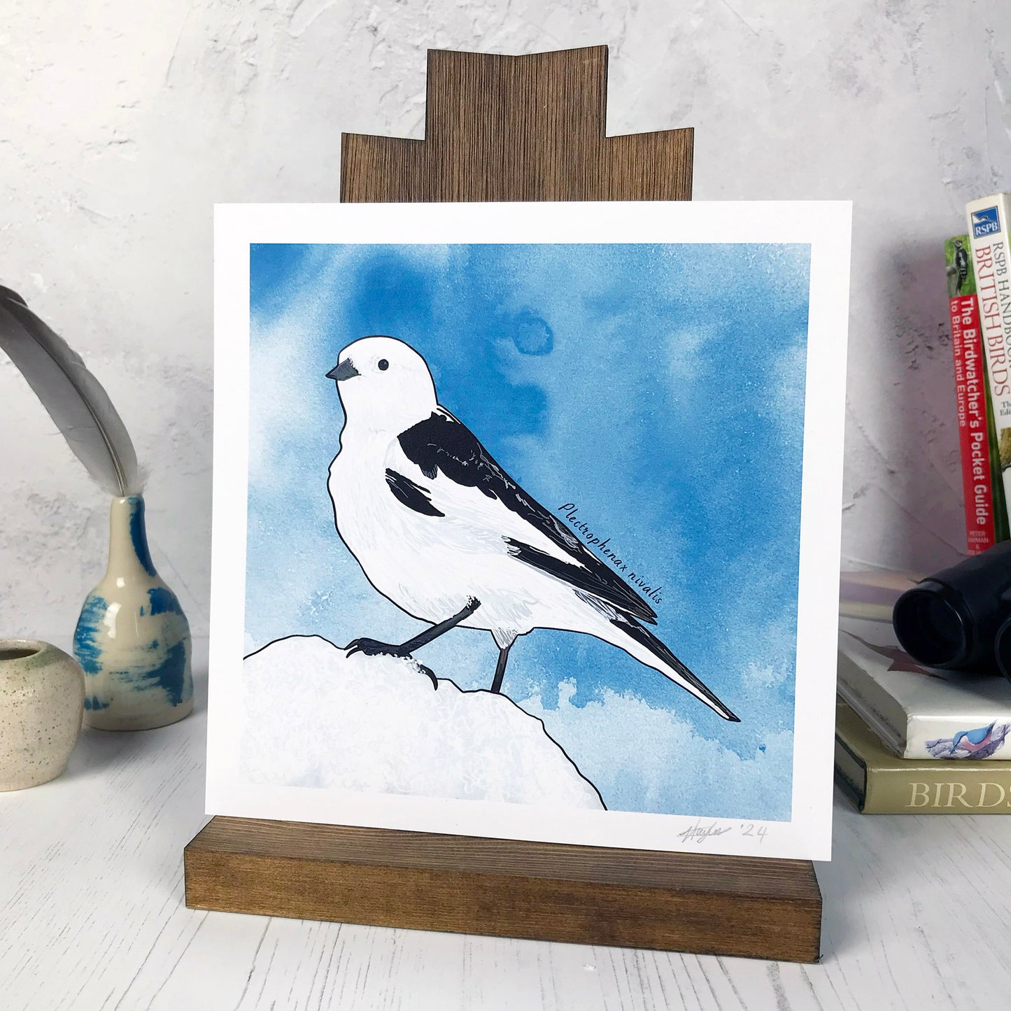 A photo of a medium sized 21 cm square art print made from an original digital illustration by Loadofolbobbins. It is of a snow bunting standing rather proudly on a small heap of snow. It’s stark white feathers with rich black wings stands out against a smoky blue ink was background. There is a 2.5 cm white border for framing.