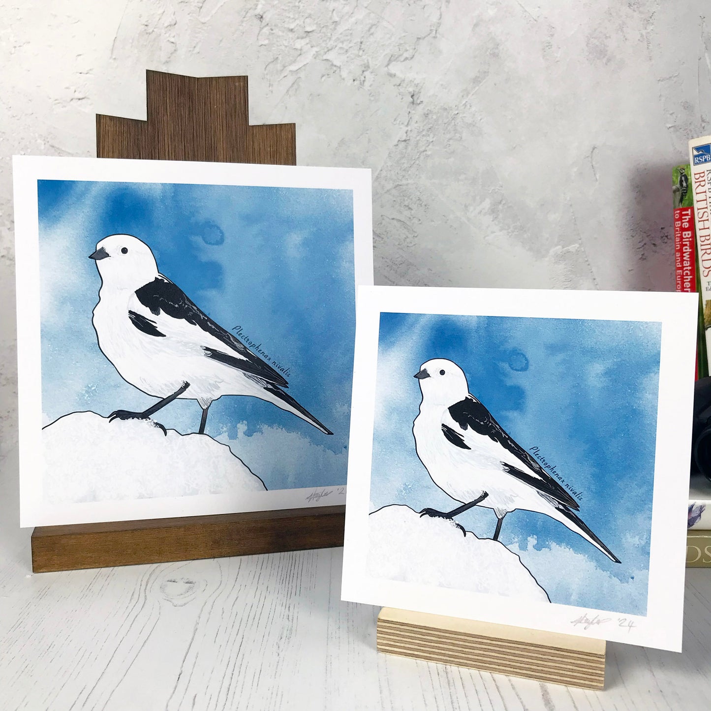 A photo of medium and small square art prints made from an original digital illustration by Loadofolbobbins. It is of a snow bunting standing rather proudly on a small heap of snow. It’s stark white feathers with rich black wings stands out against a smoky blue ink was background. There is a 2.5 cm white border for framing.
