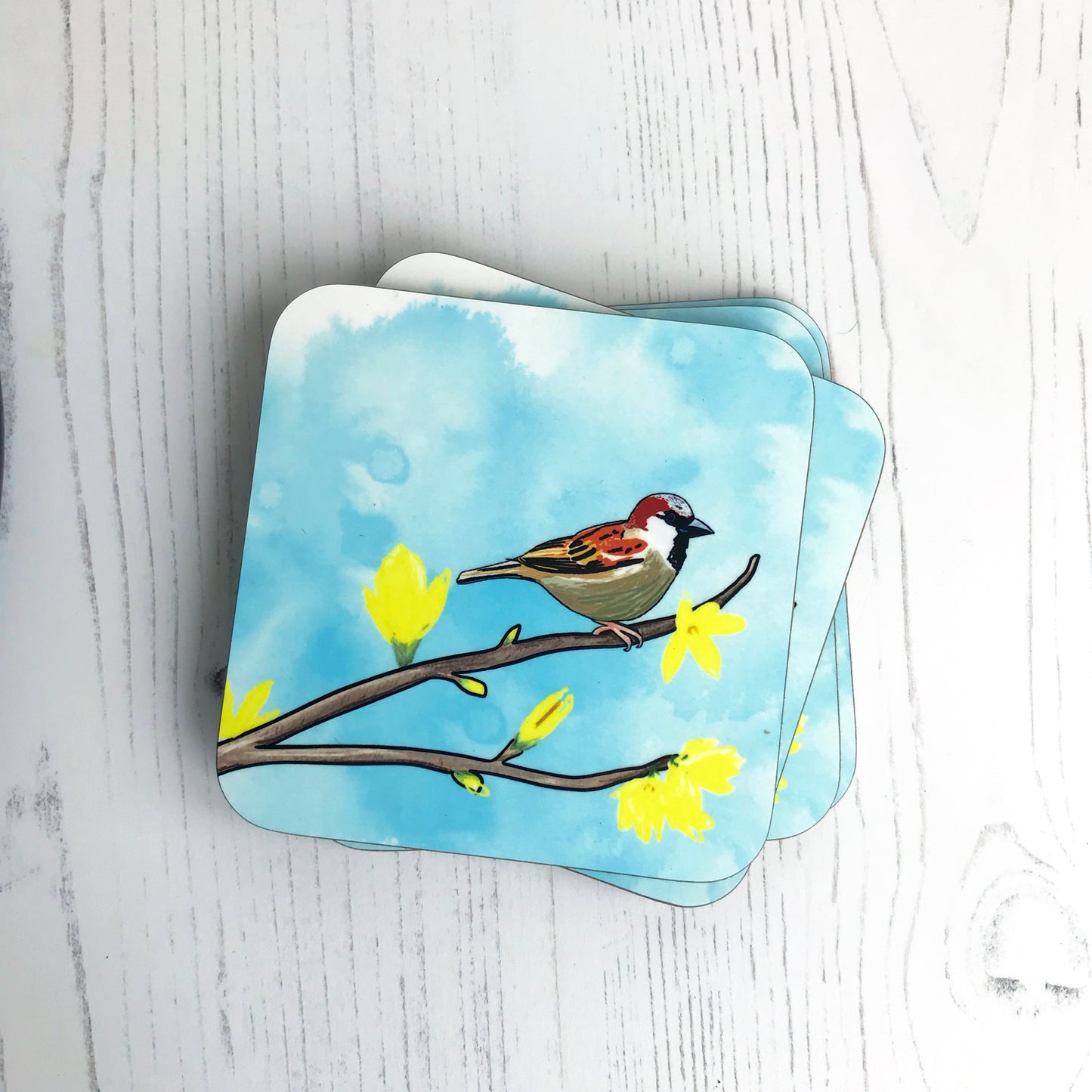 Male Sparrow and Forsythia Drinks Coaster