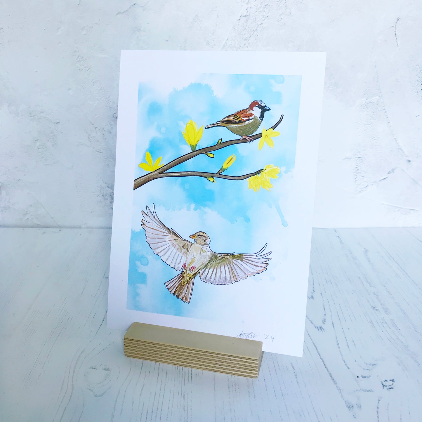 A print of an original digital illustration by Loadofofolbobbins of a male sparrow perched on a forsythia branch with yellow flower blooms, beneath this is a flying female sparrow with wings spread out. The background of the print is made up of light turquoise inky washes.