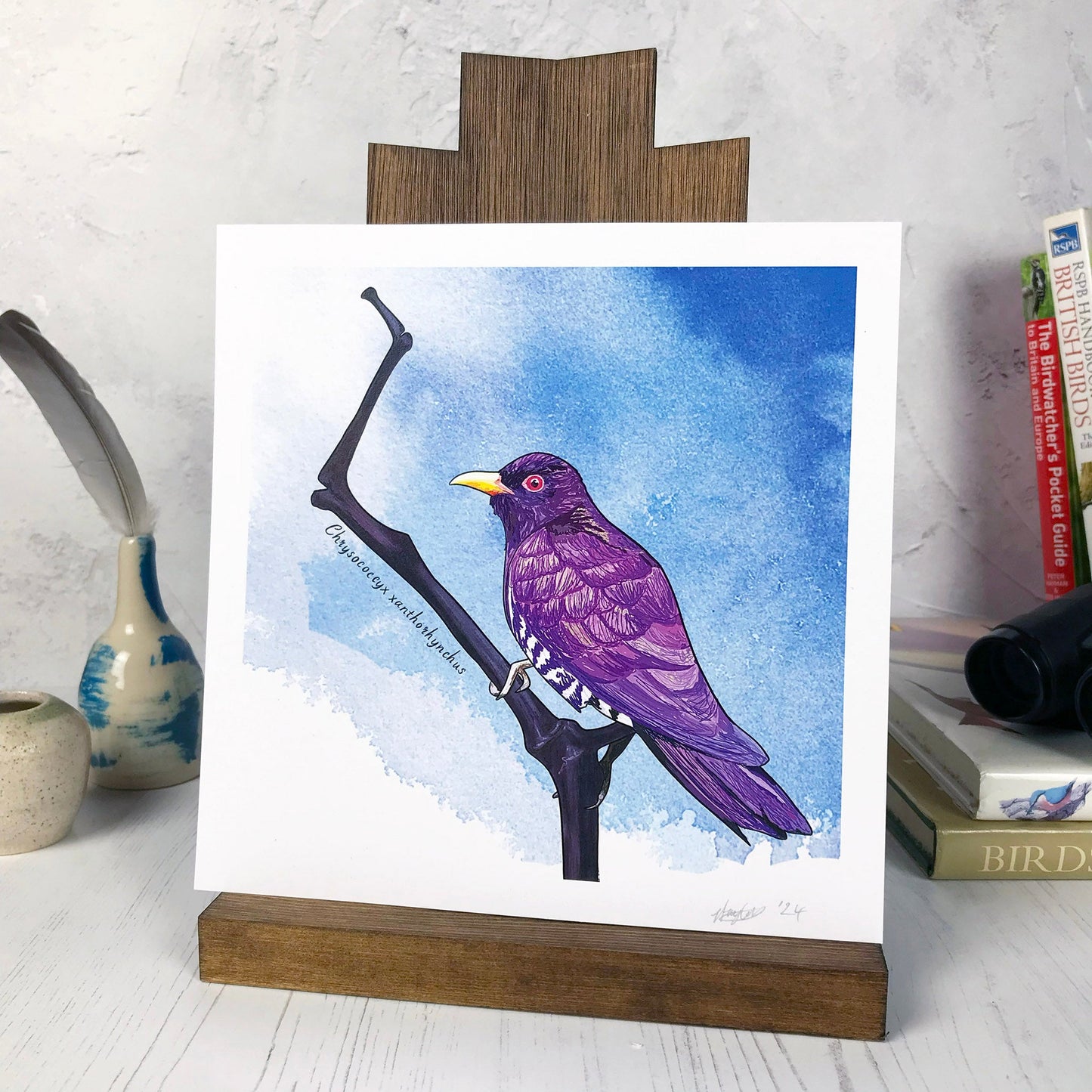 A photo of a medium sized 21 cm square art print made from an original digital illustration by Loadofolbobbins. It is of a violet cuckoo bird perched on a little dark reddish purple branch which has lots of interesting angles. The bird is almost blackbird like in size and covered in strong purple feathers. It has an intense red iris and warm yellow beak. The background is a mid warm blue inky wash. There is a 2.5 cm white border for framing.