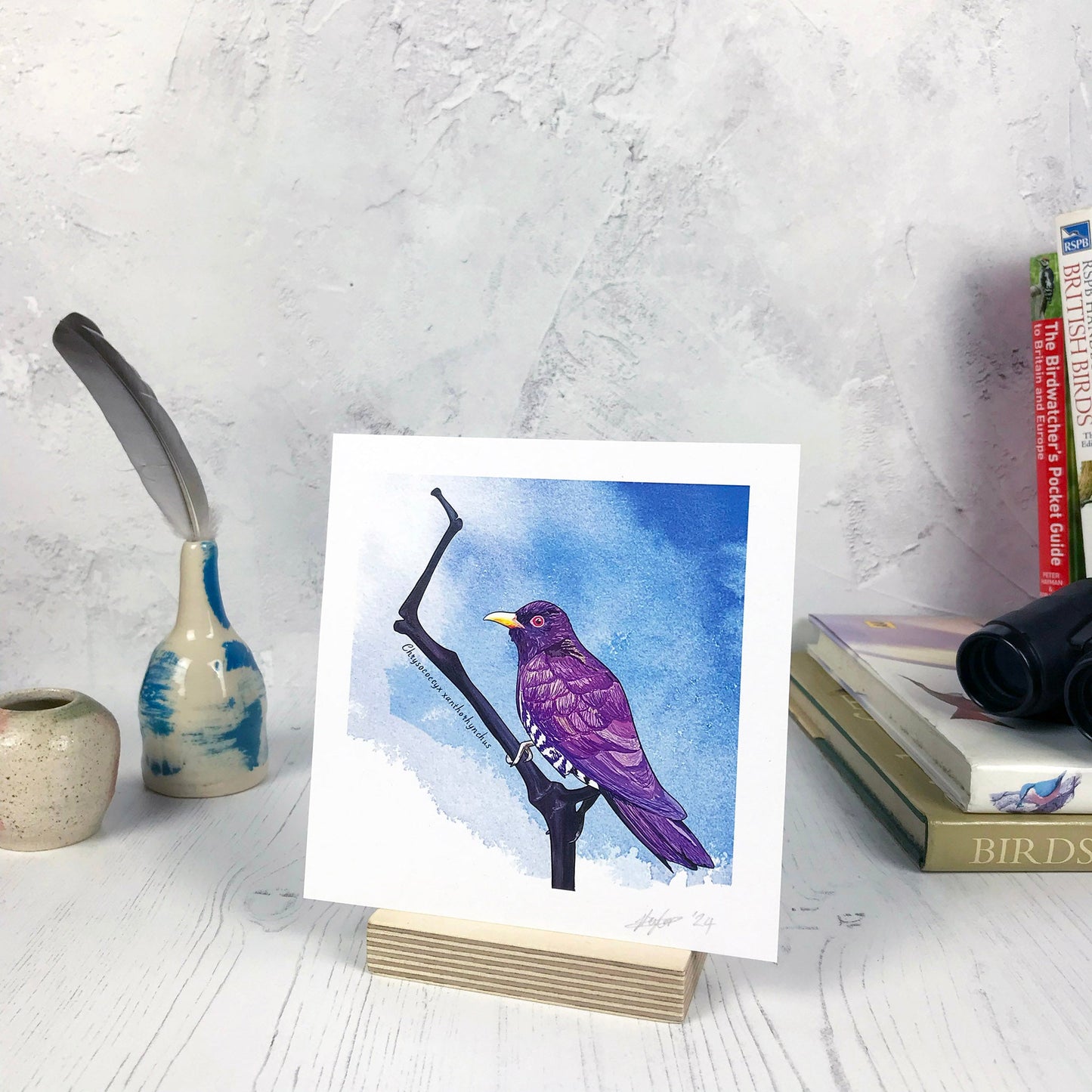 A photo of a small sized 14 cm square art print made from an original digital illustration by Loadofolbobbins. It is of a violet cuckoo bird perched on a little dark reddish purple branch which has lots of interesting angles. The bird is almost blackbird like in size and covered in strong purple feathers. It has an intense red iris and warm yellow beak. The background is a mid warm blue inky wash. There is a 2.5 cm white border for framing.