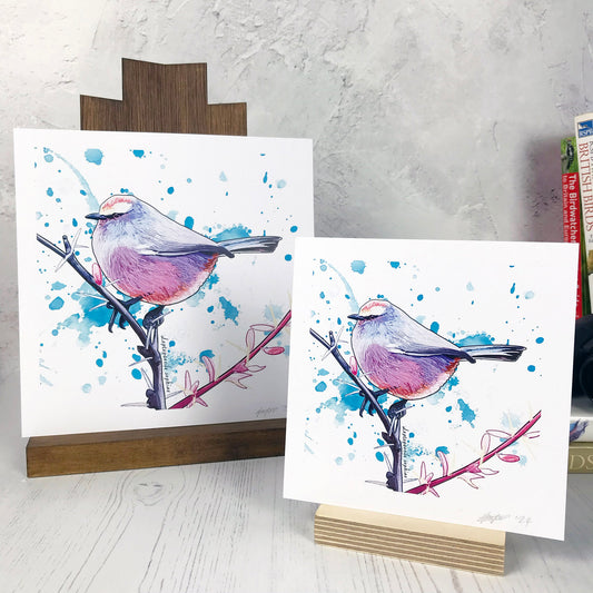 A photo of medium and small square art prints made from an original digital illustration by Loadofolbobbins. It is of a white browed tit warbler bird perched on a thin spiky branch. It is quite a puffball shaped bird with an array of pink, blues, purples, oranges and greys in all it’s feathers so it looks like it rolled around in lots of eye shadows. The background is splashes of light blue ink. There is a 2.5 cm white border for framing.