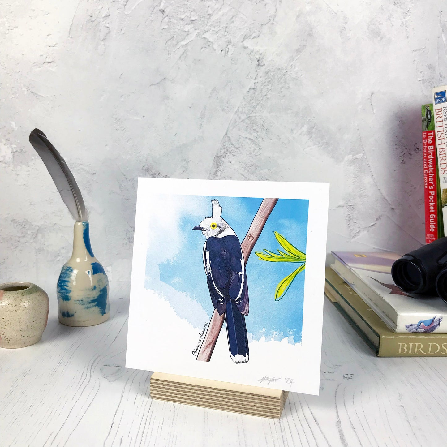 A photo of a small sized 14 cm square art print made from an original illustration by Loadofolbobbins. It is of a white crested helmetshrike perching on a branch. The bird has it's back to the viewer and is looking out to the left of the image. Most of it's feathers are blue grey, with a white head and yellow circle around it's eye. It is set against a light blue inky wash background and has a sketchy green pencil series of leaves to the right of the image. There is a 2.5 cm white border for framing.
