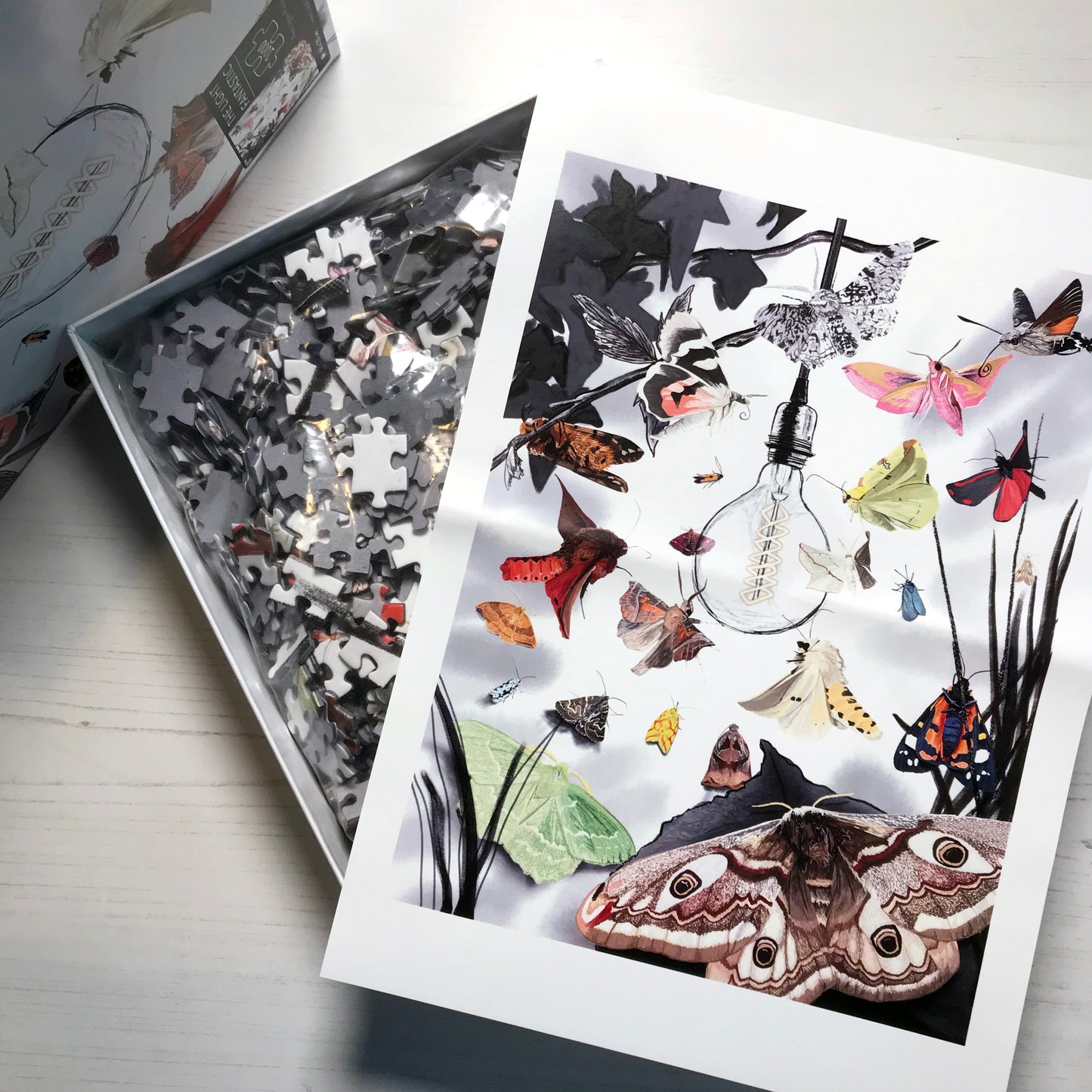 UK Moths 1000 Piece Jigsaw Puzzle | Wildlife Art