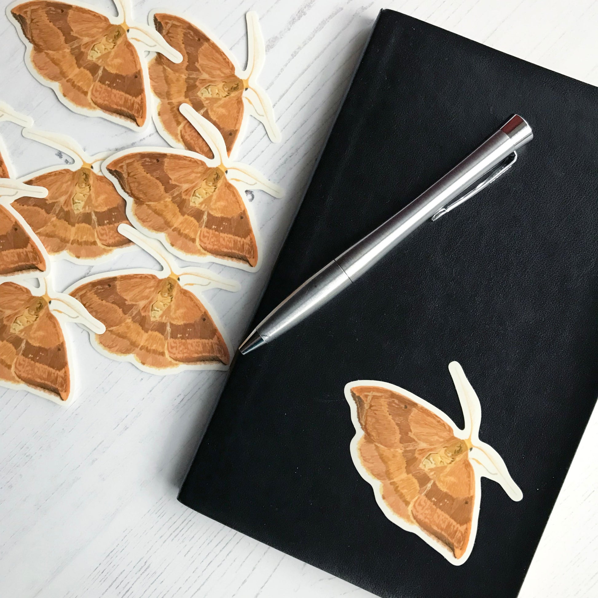 A barred hook-tip moth sticker created from an original digital illustration by Loadofolbobbins.  A medium size moth, this beauty has it's wings spread out so you can see all the incredible markings. It is covered in a wonderful array of orange browns. The browns form a series of thick stripes evenly spaced up the wings. The segmented body is also similar in colour so overall the moth looks almost like wood. The sticker is on a black notebook with a pen resting on it.