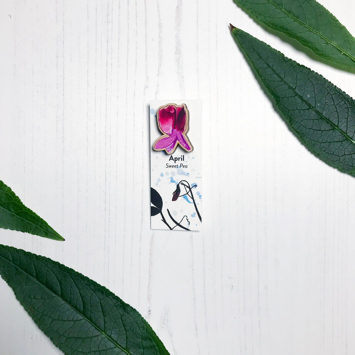 A 25mm mini wooden lapel pin of a pinky purple sweet pea flower mounted on an illustrated backing card. The pin is made from an original illustration and is loose and expressive in style. The backing card says April Sweet Pea and has an illustration of sweet pea foliage silhouetted in black against an inky blue background.