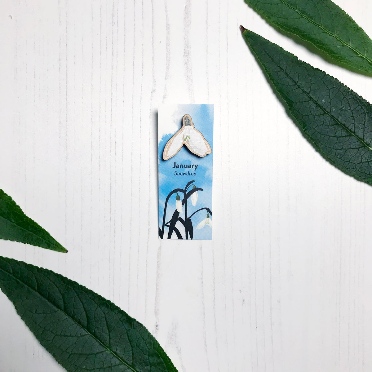 A 25mm mini wooden lapel pin of a snowdrop flower mounted on an illustrated backing card. The pin is made from an original illustration and is loose and expressive in style. The backing card says January Snowdrop and has an illustration of snowdrops on where the flowers are in colour with silhouette leaves against an inky blue background.