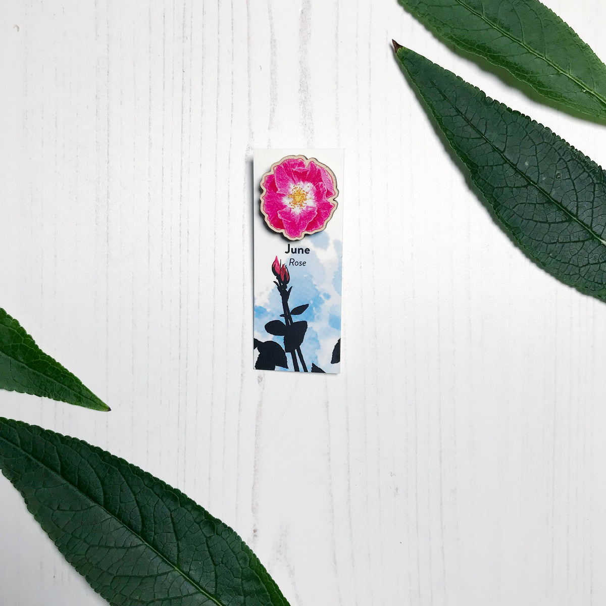 A 25mm mini wooden lapel pin of a pink dog rose flower mounted on an illustrated backing card. The pin is made from an original illustration and is loose and expressive in style. The backing card says June Rose and has an illustration of rose buds with foliage and stems silhouetted in black against an inky blue background.
