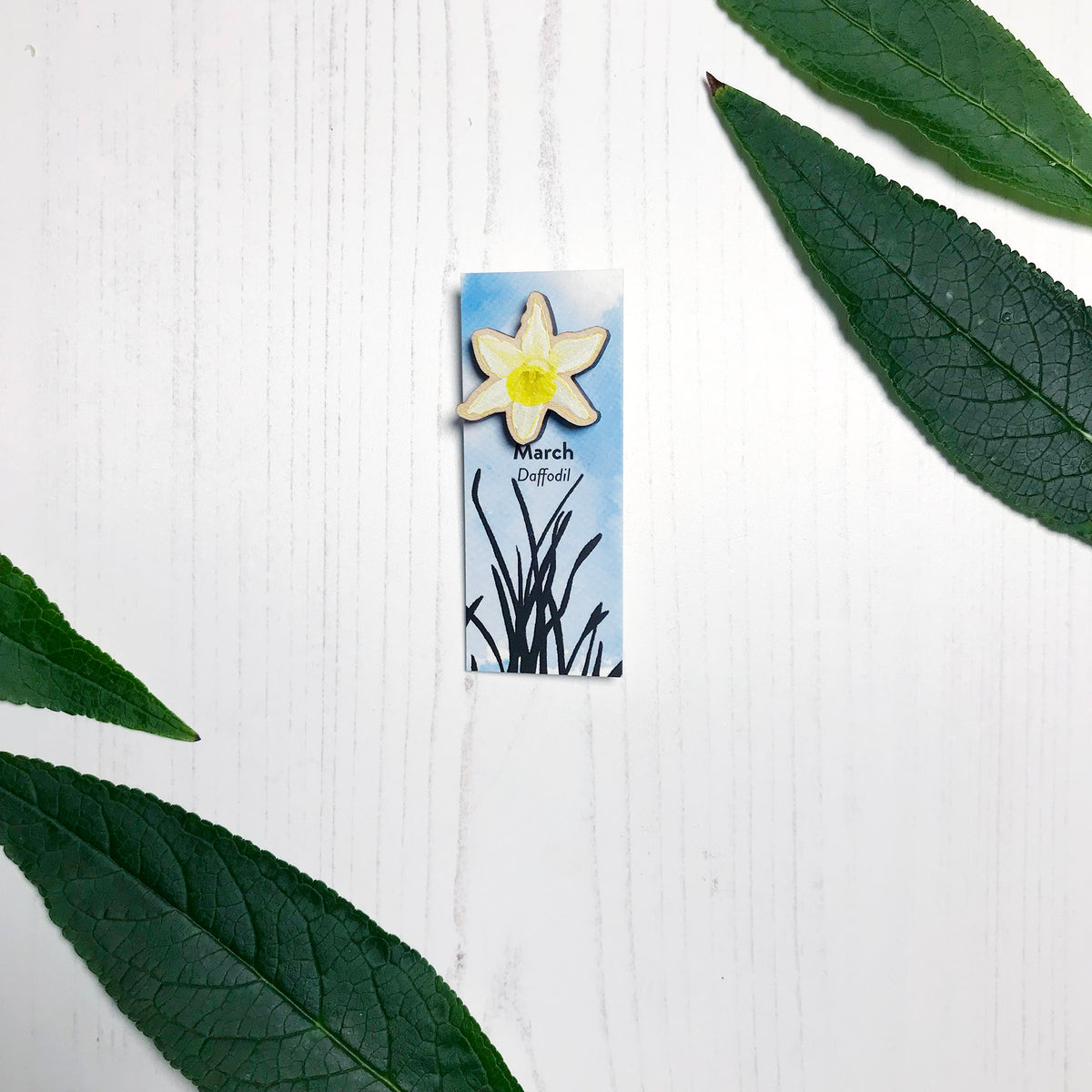 A 25mm mini wooden lapel pin of a yellow daffodil flower mounted on an illustrated backing card. The pin is made from an original illustration and is loose and expressive in style. The backing card says March Daffodil and has an illustration of daffodil plant foliage silhouetted in black against an inky blue background.