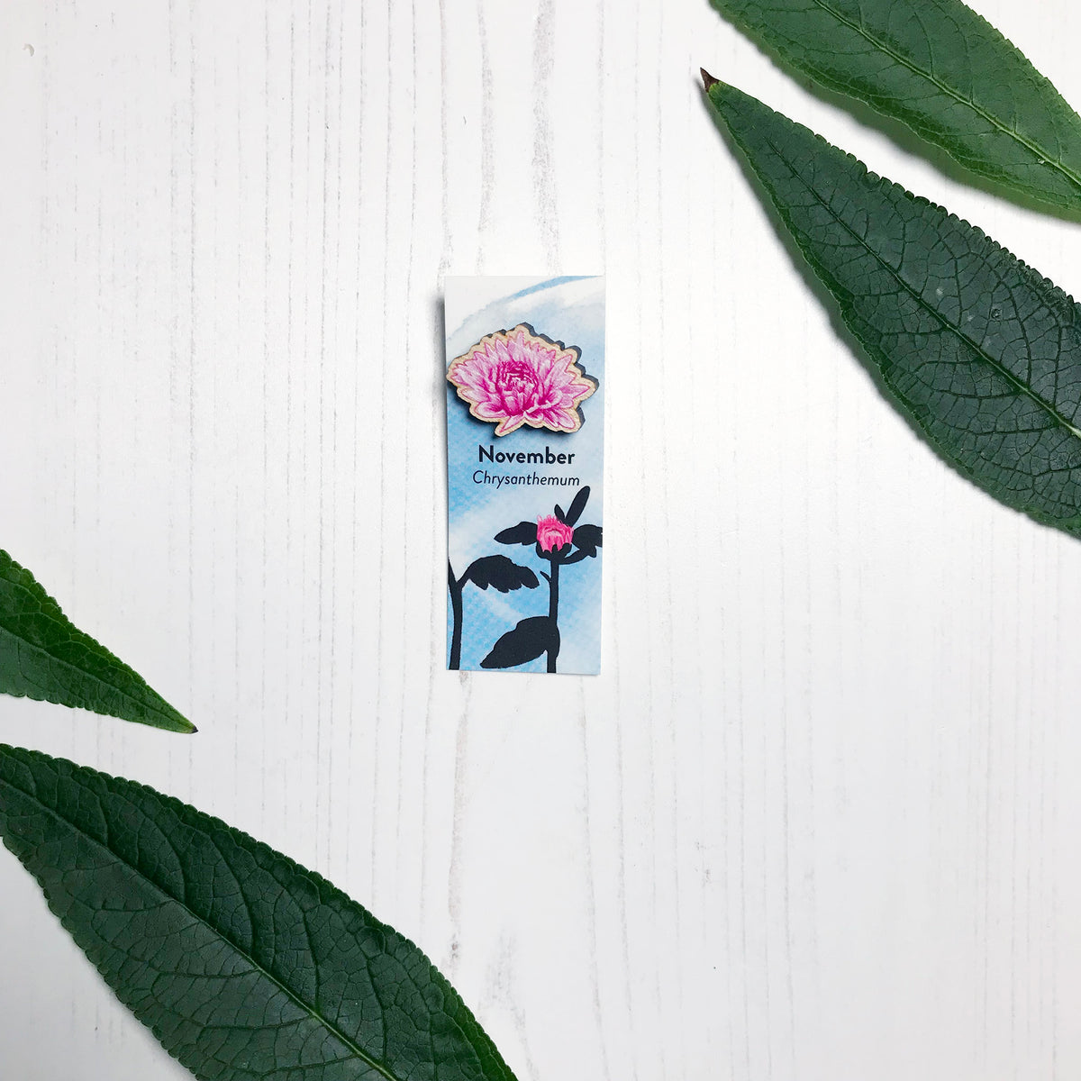 A 25mm mini wooden lapel pin of a pink chrysanthemum flower mounted on an illustrated backing card. The pin is made from an original illustration and is loose and expressive in style. The backing card says November Chrysanthemum and has an illustration of pink chrysanthemum bud with stems and foliage silhouetted in black against an inky blue background.