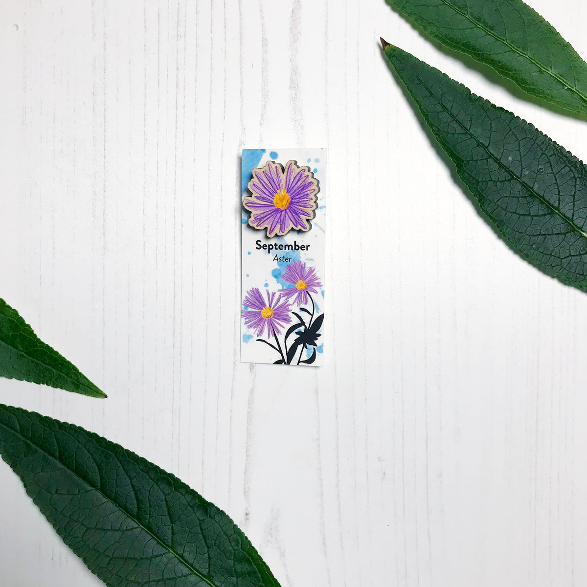 A 25mm mini wooden lapel pin of a purple aster flower mounted on an illustrated backing card. The pin is made from an original illustration and is loose and expressive in style. The backing card says September Aster and has an illustration of purple asters with stems and foliage silhouetted in black against an inky blue background.