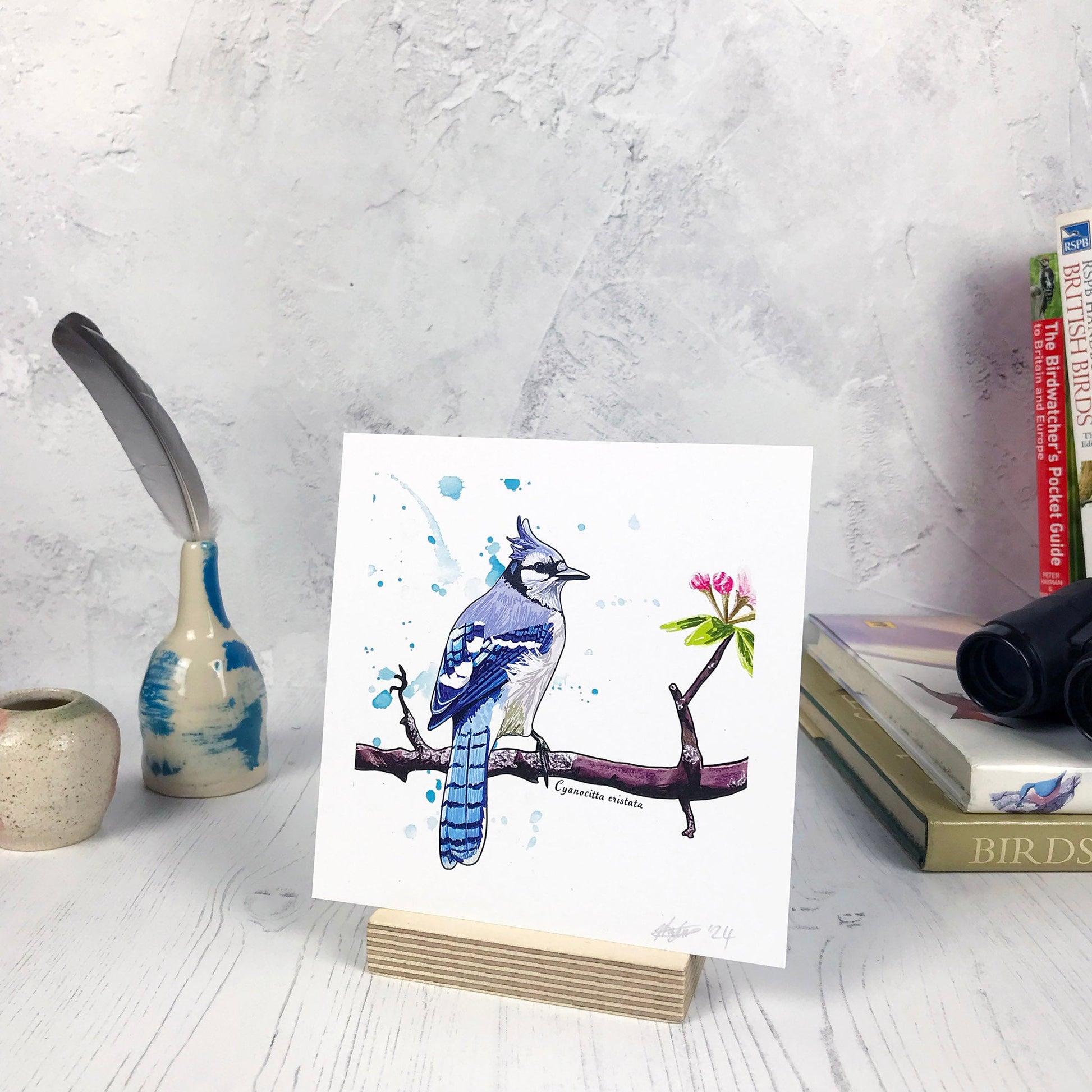 A photo of a small sized 14 cm square art print made from an original digital illustration by Loadofolbobbins. It is of a bluejay bird perching on a reddish brown gnarled branch with blossom buds on. The bird has it’s back to the viewer, it’s head turned to the right so you can see it’s profile. It has a crest of feathers on its head that are light blue like the back feathers. Face and under body is white. The background has some light blue inky splashes. There is a 2.5 cm white border for framing.
