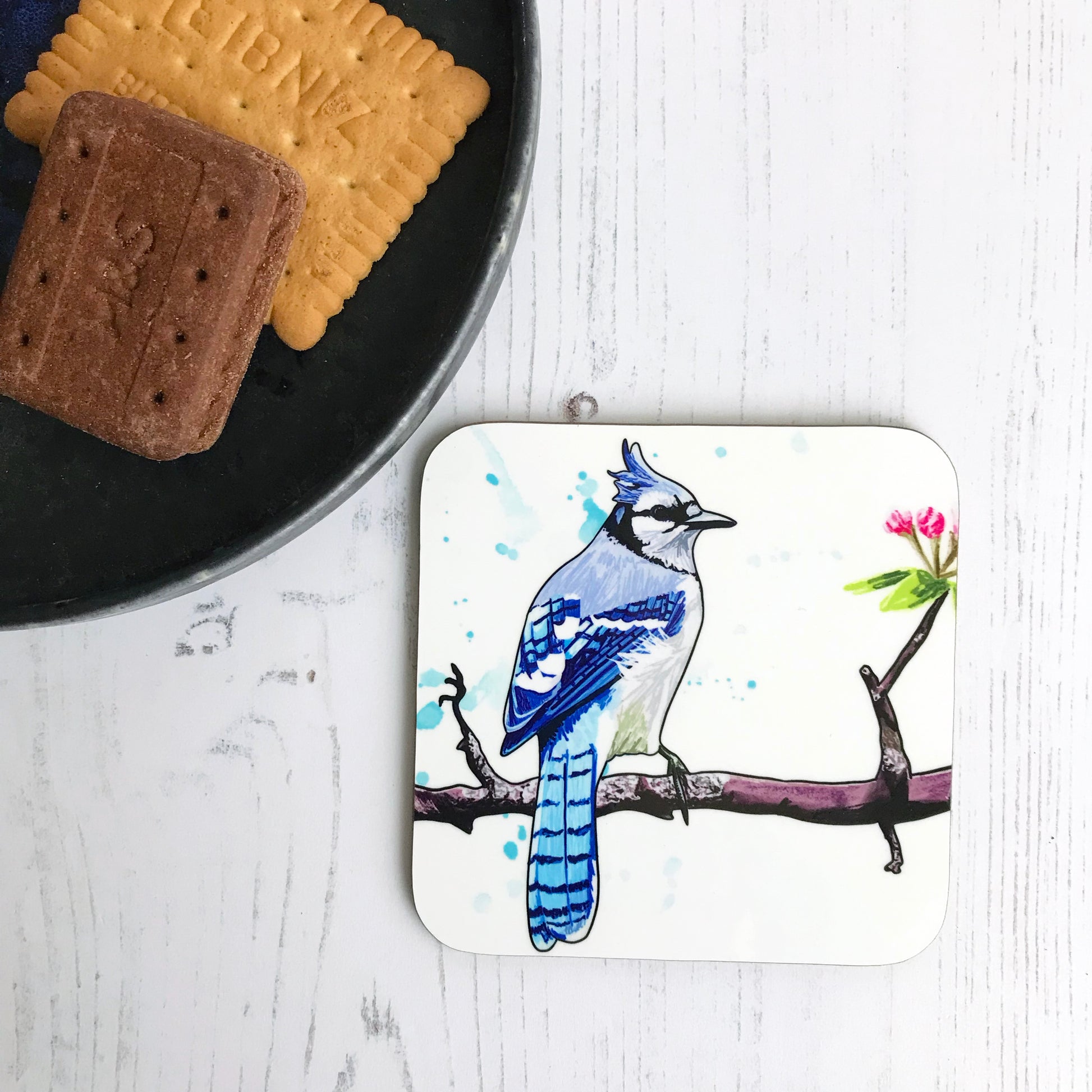 A photo of a round edged square coaster which has an original illustration by Loadofolbobbins showing  a bluejay bird perching on a reddish brown gnarled branch with blossom buds on. The bird has it’s back to the viewer, it’s head turned to the right so you can see it’s profile. It has a crest of feathers on its head that are light blue like the back feathers. Face and under body is white. The background has some light blue inky splashes.