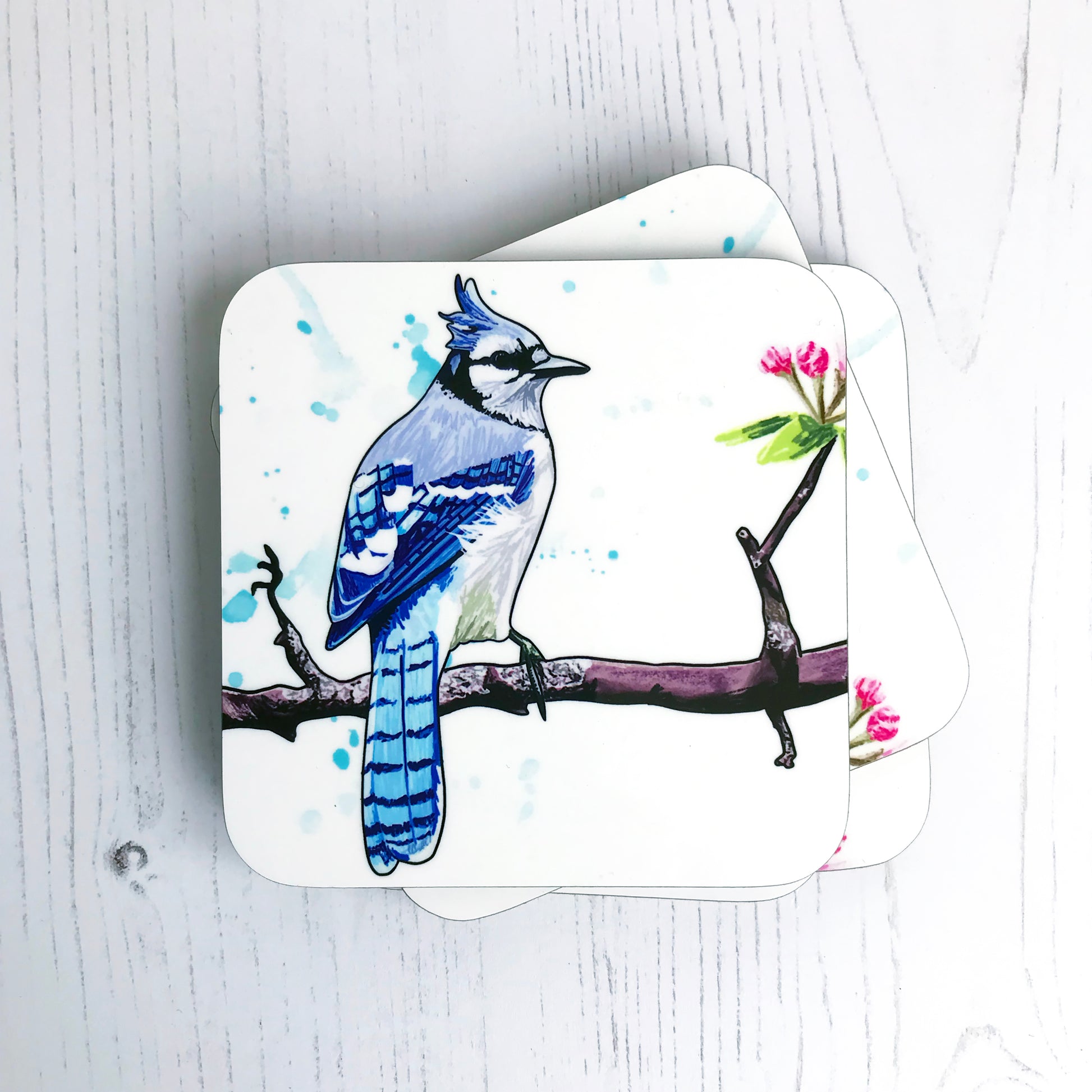A photo of a pile of round edged square coasters which have an original illustration by Loadofolbobbins showing  a bluejay bird perching on a reddish brown gnarled branch with blossom buds on. The bird has it’s back to the viewer, it’s head turned to the right so you can see it’s profile. It has a crest of feathers on its head that are light blue like the back feathers. Face and under body is white. The background has some light blue inky splashes.