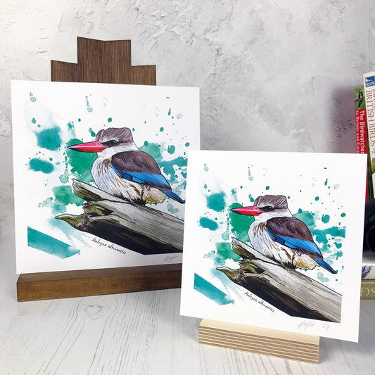 A photo of medium and small square art prints made from an original digital illustration by Loadofolbobbins. It is of a brown hooded kingfisher perched on a large branch broken off at the end. It has a powerful fairly long sharp red beak. It's under feathers are a buff colour and it's wings and upper head are a a rich brown with vivid flashes of turquoise feathers in it's wings and tail feathers. The background is green inky splash background. There is a 2.5 cm white border for framing.