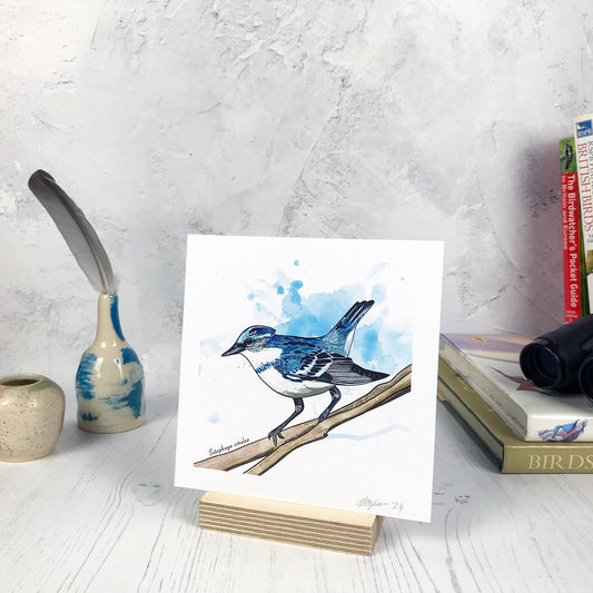 A photo of a small sized 14 cm square art print made from an original digital illustration by Loadofolbobbins. It is of a cerulean warbler bird perching on a branch. It has been done with energetic line marks and has a light blue inky wash background. It is a small perky looking bird with deep blue feathers across it's back and white feathers underneath. There is a 2.5 cm white border for framing.