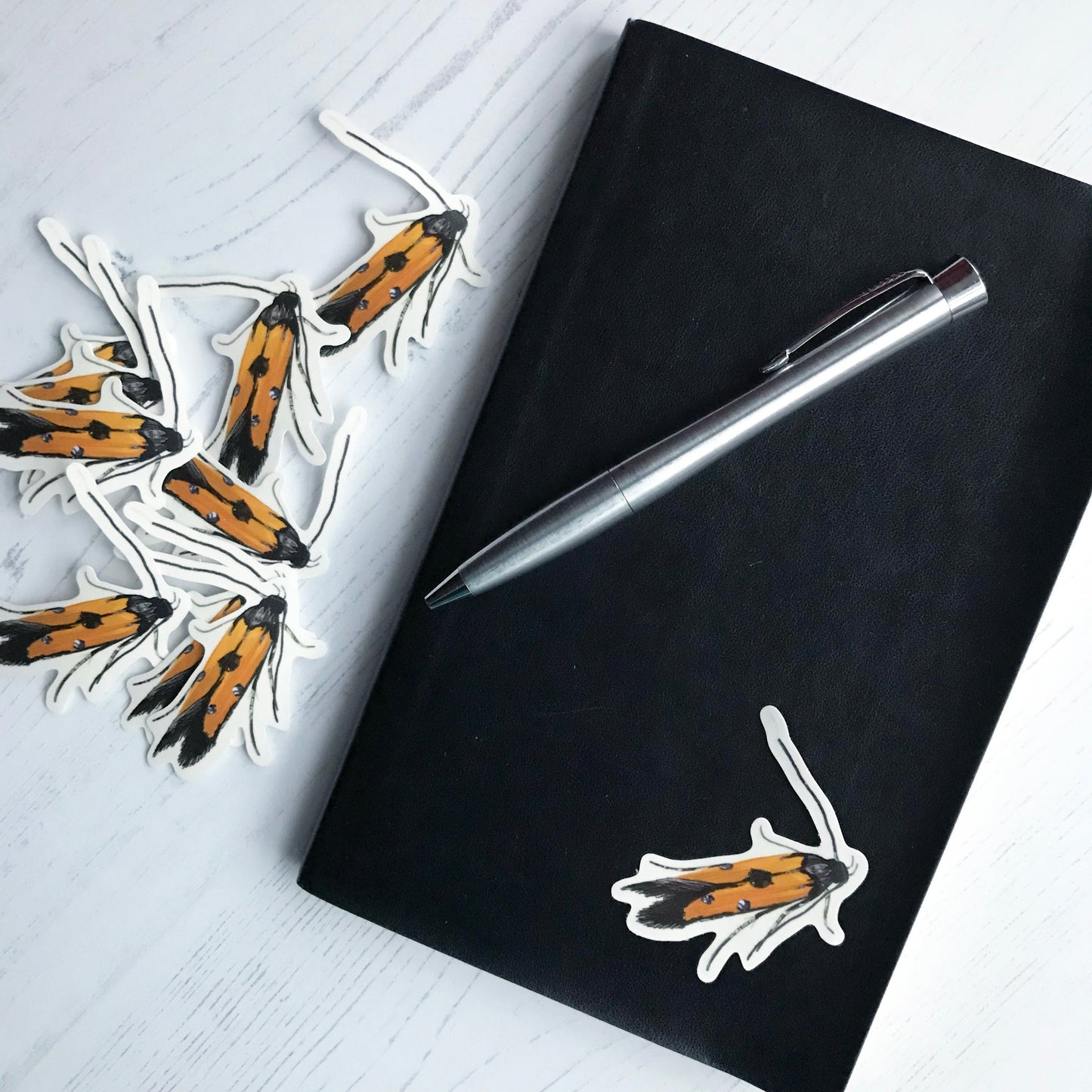 A chrysoclistra linella moth sticker created from an original digital illustration by Loadofolbobbins. This delicate little moth has it's wings closed behind it and almost looks as though it is just resting on the image. The bright orange of it's wings are contrasted with the black of the wings edges and it's head and antennae. There are three distinct spots on the orange sections that look almost like liquid silver drops. The sticker is on a black notebook with a pen resting on it.