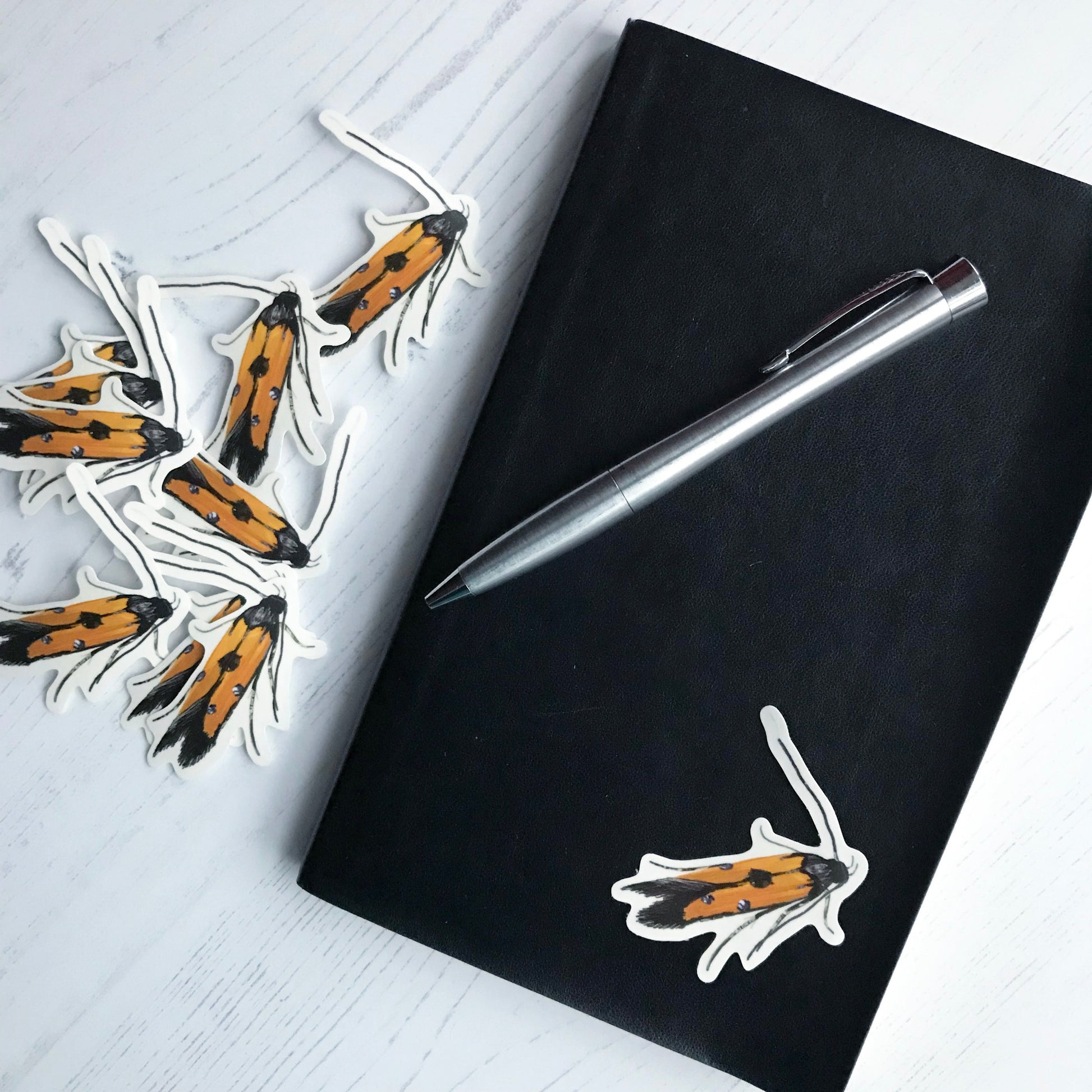 A chrysoclistra linella moth sticker created from an original digital illustration by Loadofolbobbins. This delicate little moth has it's wings closed behind it and almost looks as though it is just resting on the image. The bright orange of it's wings are contrasted with the black of the wings edges and it's head and antennae. There are three distinct spots on the orange sections that look almost like liquid silver drops. The sticker is on a black notebook with a pen resting on it.
