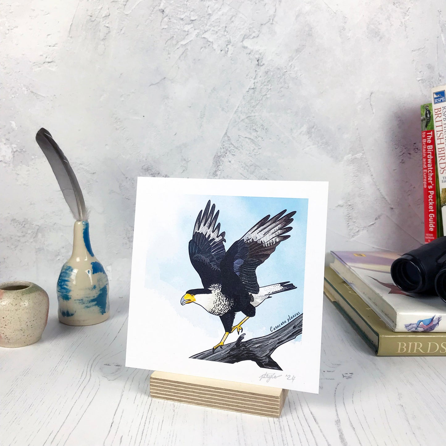 A photo of a small sized 14 cm square art print made from an original digital illustration by Loadofolbobbins. It is of a created caracara bird perched on a branch with wing stretched and legs rising as it’s just about to take flight. A large raptor its leg and wing feathers are a rich grey blue brown colour with white underside feathers. Its legs are yellow and it's strong powerful beak has yellow to deep orange skin. The background is a light blue inky wash. There is a 2.5 cm white border for framing.