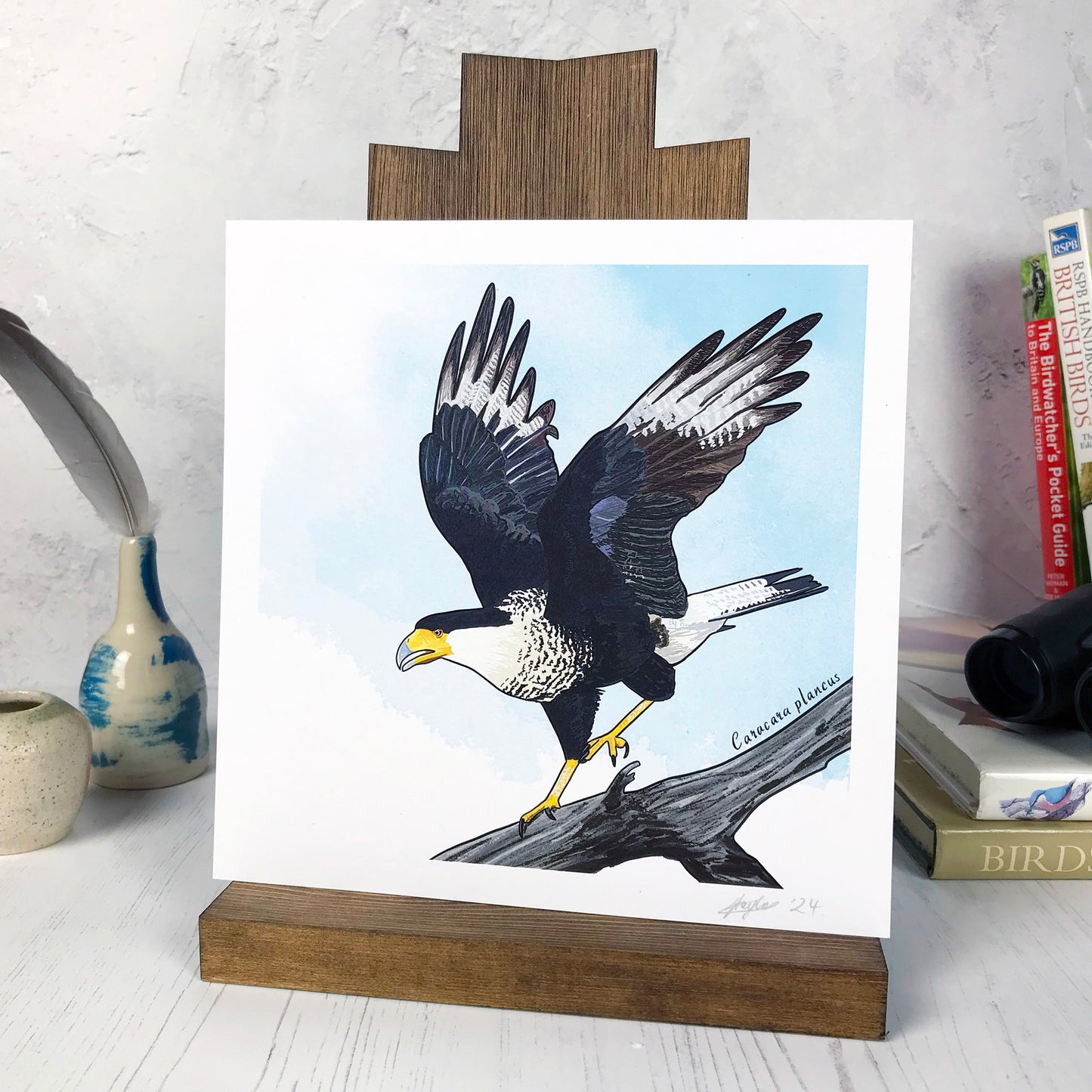 A photo of a medium sized 21 cm square art print made from an original digital illustration by Loadofolbobbins. It is of a created caracara bird perched on a branch with wing stretched and legs rising as it’s just about to take flight. A large raptor its leg and wing feathers are a rich grey blue brown colour with white underside feathers. Its legs are yellow and it's strong powerful beak has yellow to deep orange skin. The background is a light blue inky wash. There is a 2.5 cm white border for framing.