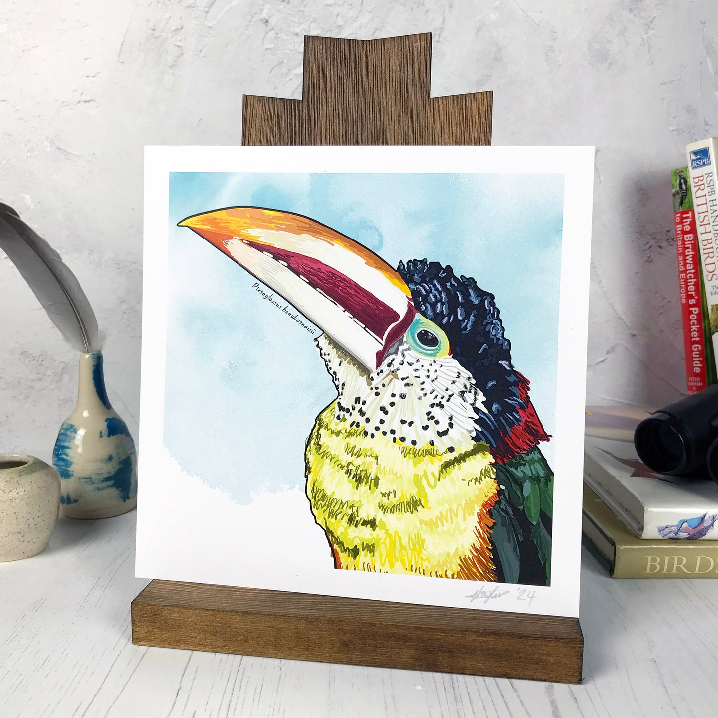 A photo of a medium sized 21 cm square art print made from an original digital illustration by Loadofolbobbins. It is of a curl-crested Aracari bird with a bright light blue inky wash background. The bird has a toucan like beak large and curved with cream and dark red stripes and orange tip. The feathers are an incredible array of colours with light yellow front green wings and red and black back and head feathers. There is a 2.5 cm white border for framing.