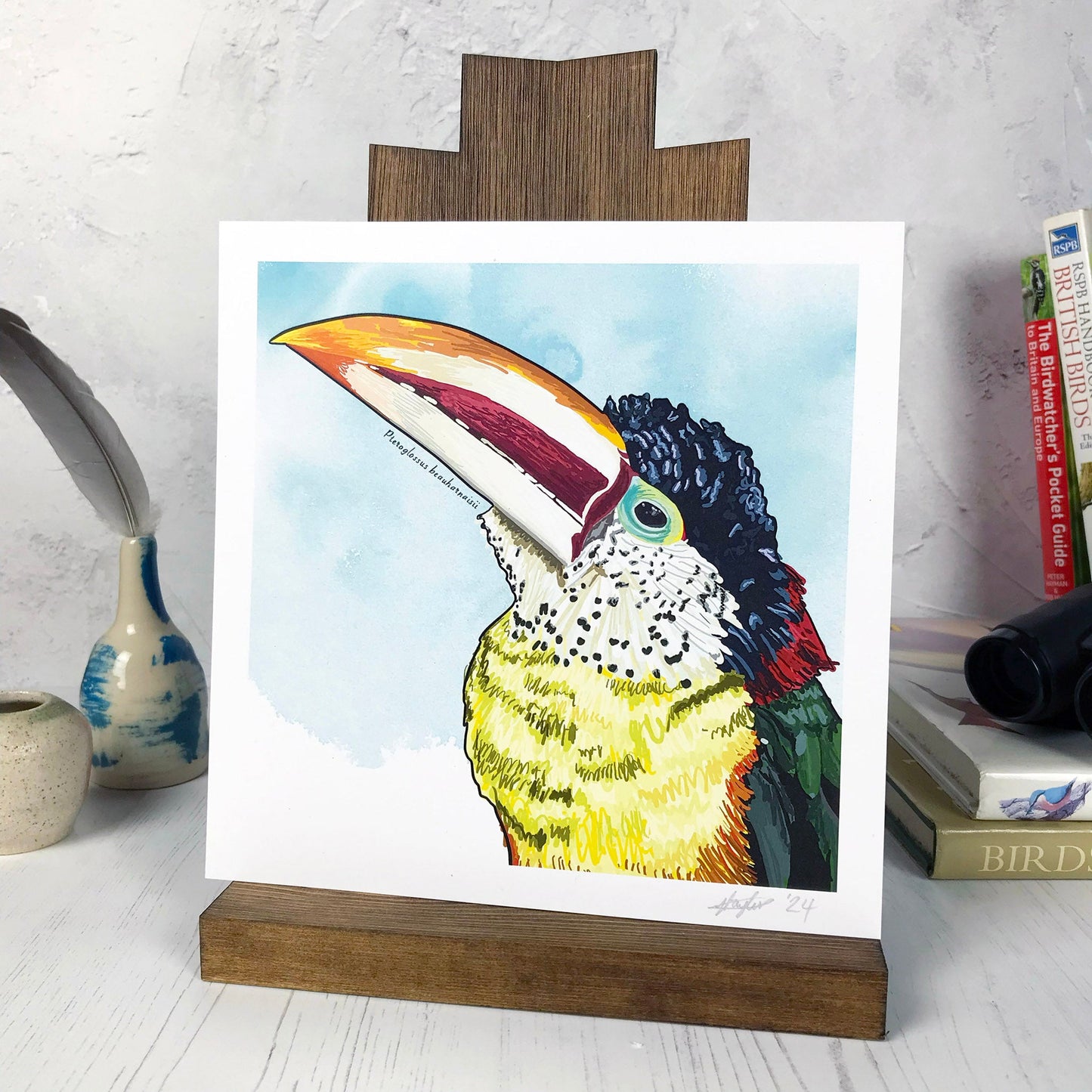 A photo of a medium sized 21 cm square art print made from an original digital illustration by Loadofolbobbins. It is of a curl-crested Aracari bird with a bright light blue inky wash background. The bird has a toucan like beak large and curved with cream and dark red stripes and orange tip. The feathers are an incredible array of colours with light yellow front green wings and red and black back and head feathers. There is a 2.5 cm white border for framing.