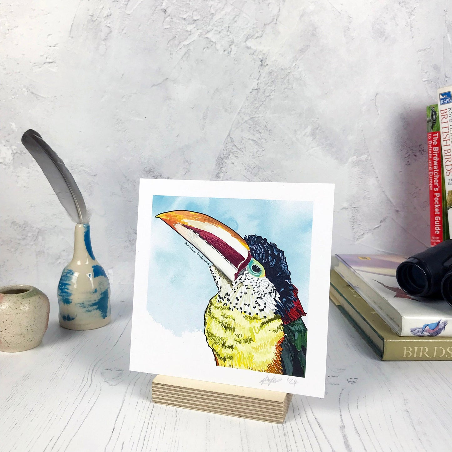 A photo of a small sized 14 cm square art print made from an original digital illustration by Loadofolbobbins. It is of a curl-crested Aracari bird with a bright light blue inky wash background. The bird has a toucan like beak large and curved with cream and dark red stripes and orange tip. The feathers are an incredible array of colours with light yellow front green wings and red and black back and head feathers. There is a 2.5 cm white border for framing.