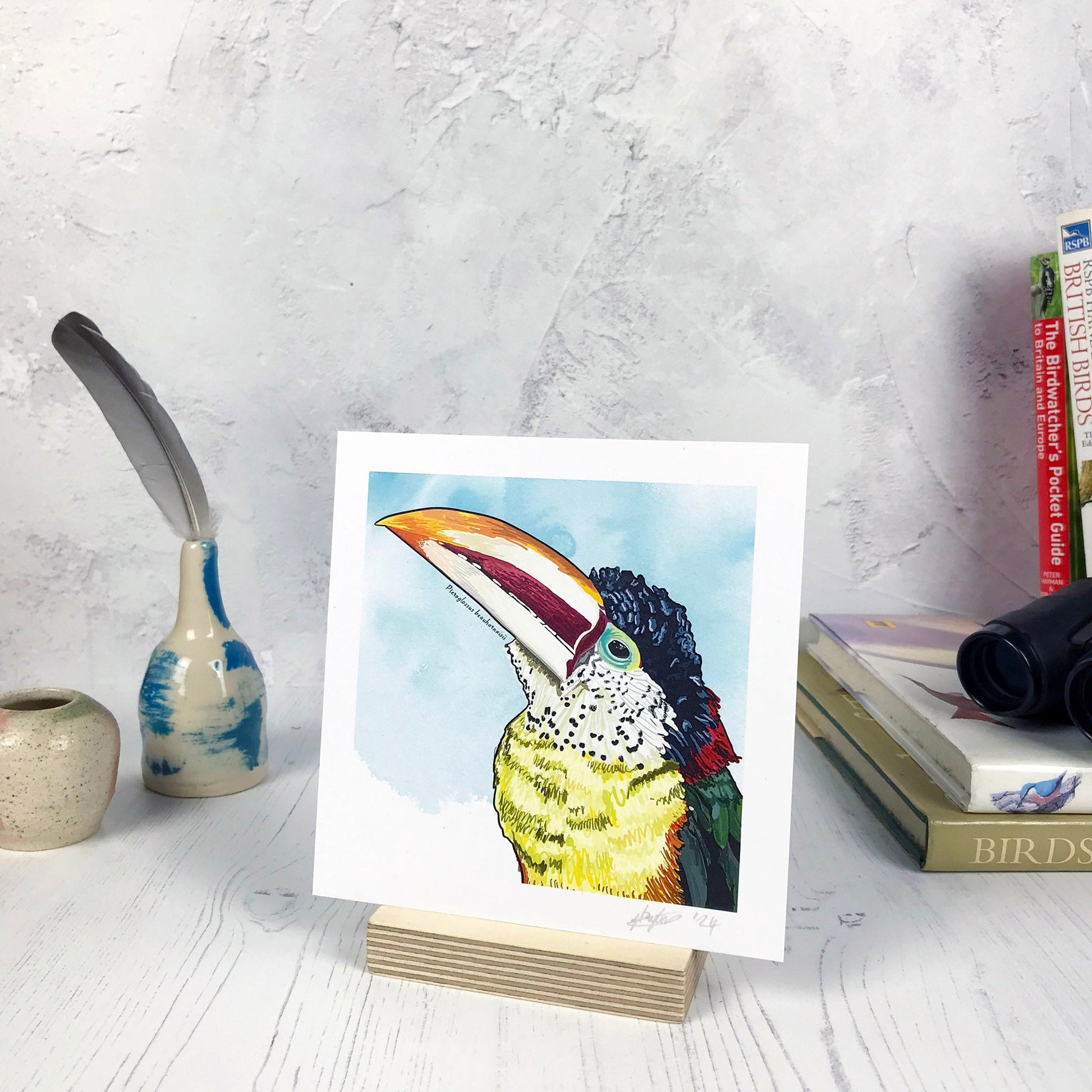 A photo of a small sized 14 cm square art print made from an original digital illustration by Loadofolbobbins. It is of a curl-crested Aracari bird with a bright light blue inky wash background. The bird has a toucan like beak large and curved with cream and dark red stripes and orange tip. The feathers are an incredible array of colours with light yellow front green wings and red and black back and head feathers. There is a 2.5 cm white border for framing.