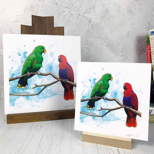 A photo of medium sized and small sized square art prints from an original digital illustration by Loadofolbobbins. It is of two Eclectus parrots perching on a branch. The bird on the left is a vibrant green with flashes of red and blue on its wing. The bird on the right is a bright red with a purple chest. The background of the image is an inky blue splash. There is a 2.5 cm white border for framing.