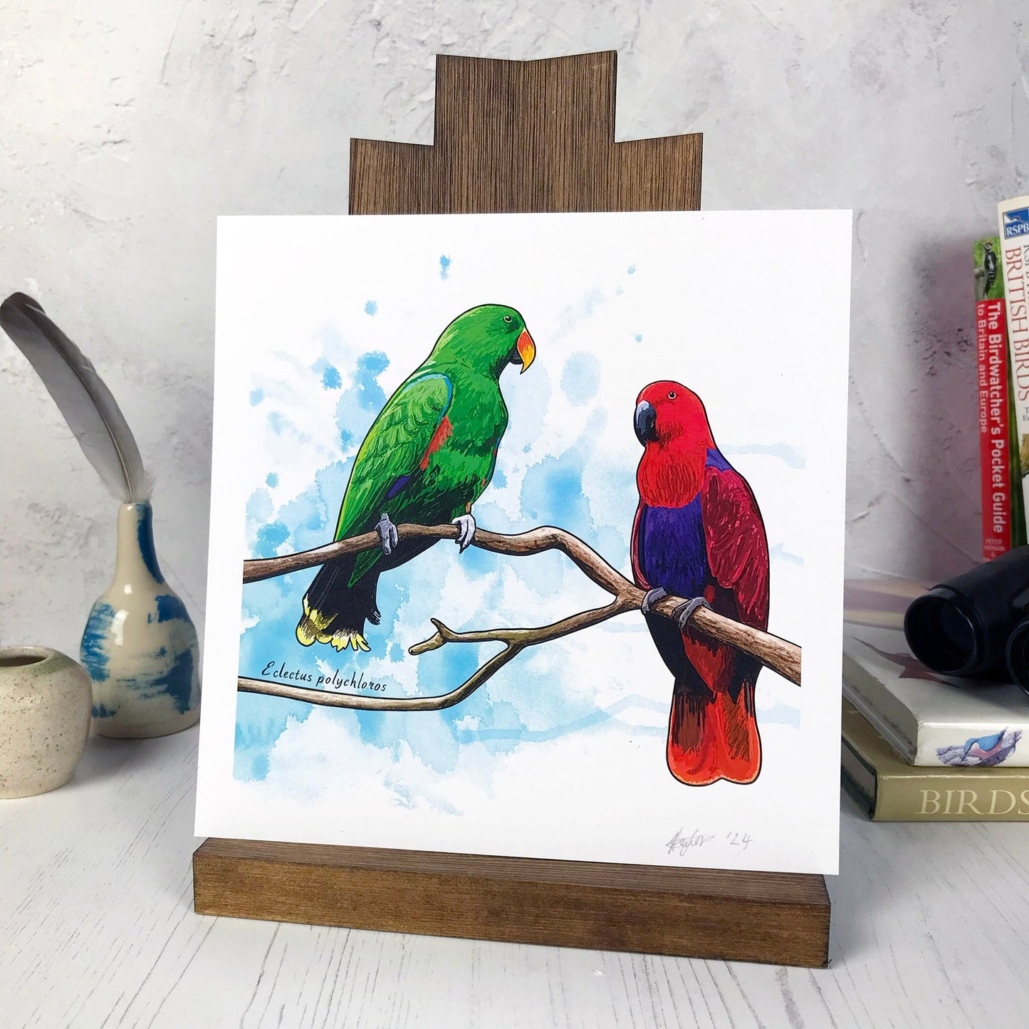 A photo of a medium sized 21 cm square art print made from an original digital illustration by Loadofolbobbins. It is of two Eclectus parrots perching on a branch. The bird on the left is a vibrant green with flashes of red and blue on its wing. The bird on the right is a bright red with a purple chest. The background of the image is an inky blue splash. There is a 2.5 cm white border for framing.