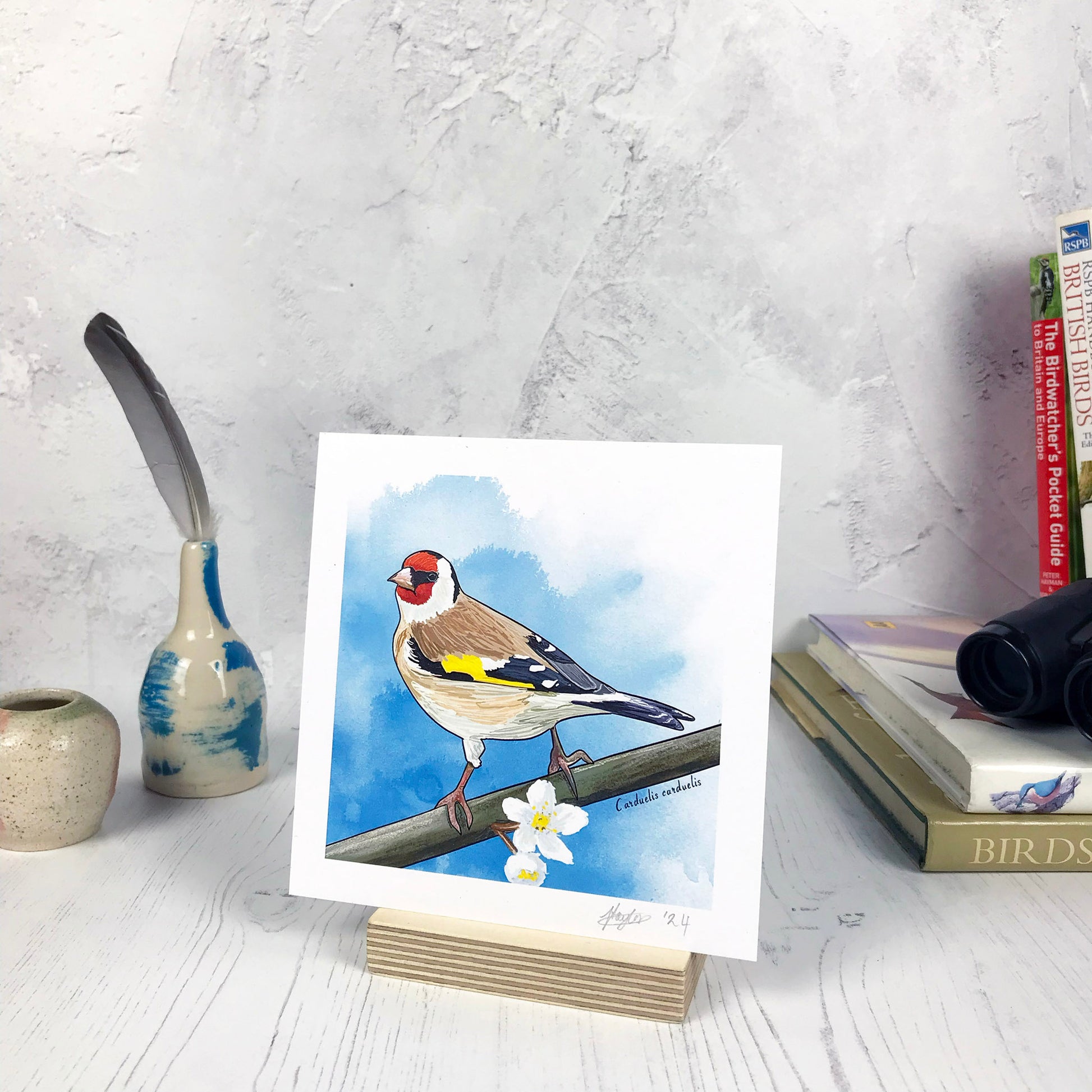A photo of a small sized 14 cm square art print made from an original digital illustration by Loadofolbobbins. It is of a European goldfinch, back facing the viewer, head turned and looking out towards the left. It has a bright red face with black eye band and a creamy white underbelly with brown wings which are black towards the end with flashes of white, also a bright yellow flash of feathers on their wing. It is perching on a branch with white tree blossoms. There is a 2.5 cm white border for framing.