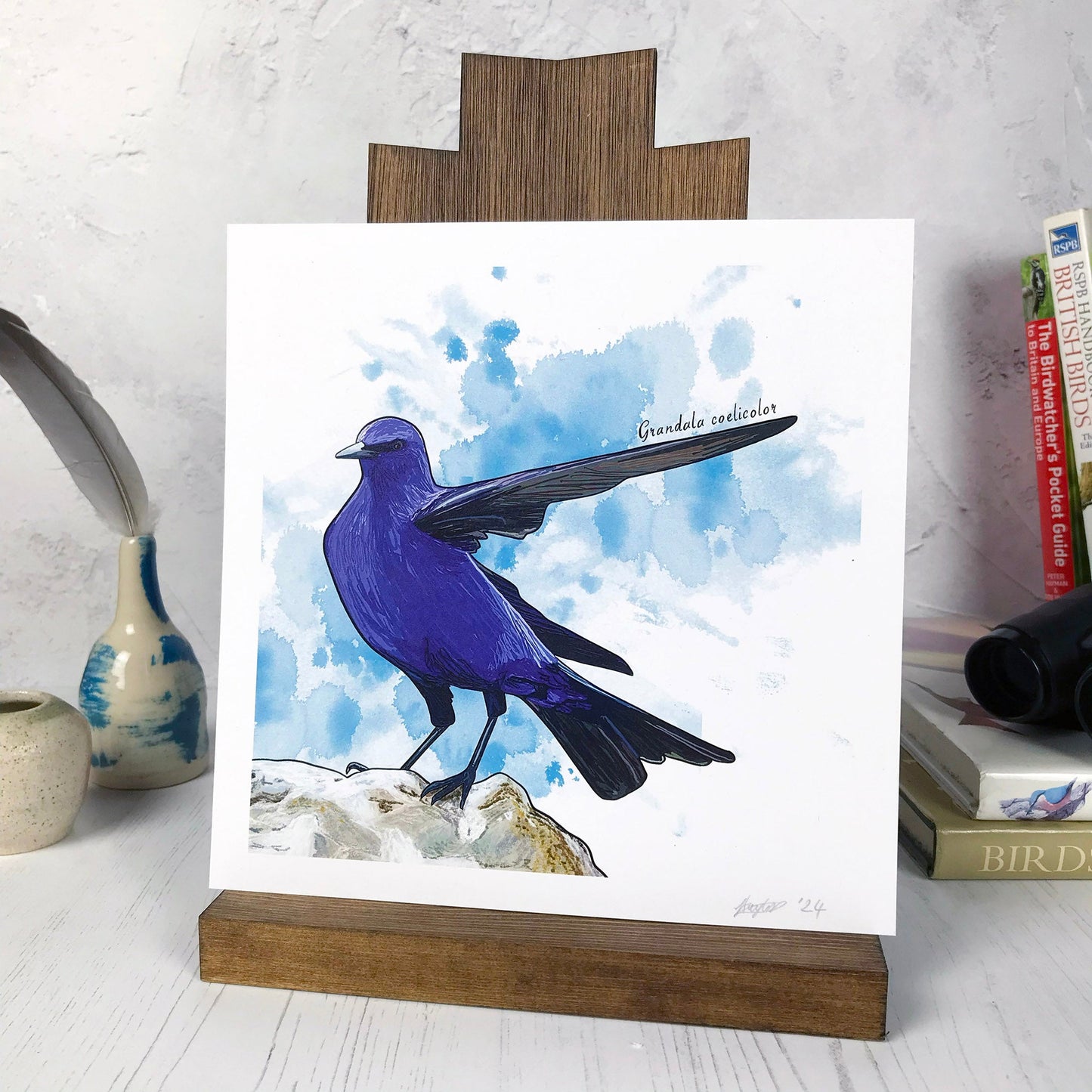 A photo of a medium sized 21 cm square art print made from an original digital illustration by Loadofolbobbins. It is of a grandala bird perching on a rock. It has rich black wing and tail feathers with the rest of the body covered in vibrant bright blue feathers. This bird has one wing pointing to the right of the image and is standing on a rock. The background of the image is a dark turquoise inky splash. There is a 2.5 cm white border for framing.
