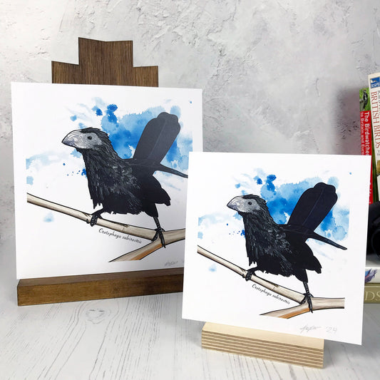 A photo of medium sized and small sized square art prints from an original digital illustration by Loadofolbobbins. It is of a groove billed ani perched on a branch with an inky blue splodgy paint wash behind it. Underneath the branch is the Latin name for the bird Crotophaga sulcirostris. It is a very prehistoric looking bird covered in black feathers and with long tail feathers that are standing upright. It has a large grey bill that has grooves on the top. There is a 2.5 cm white border for framing.