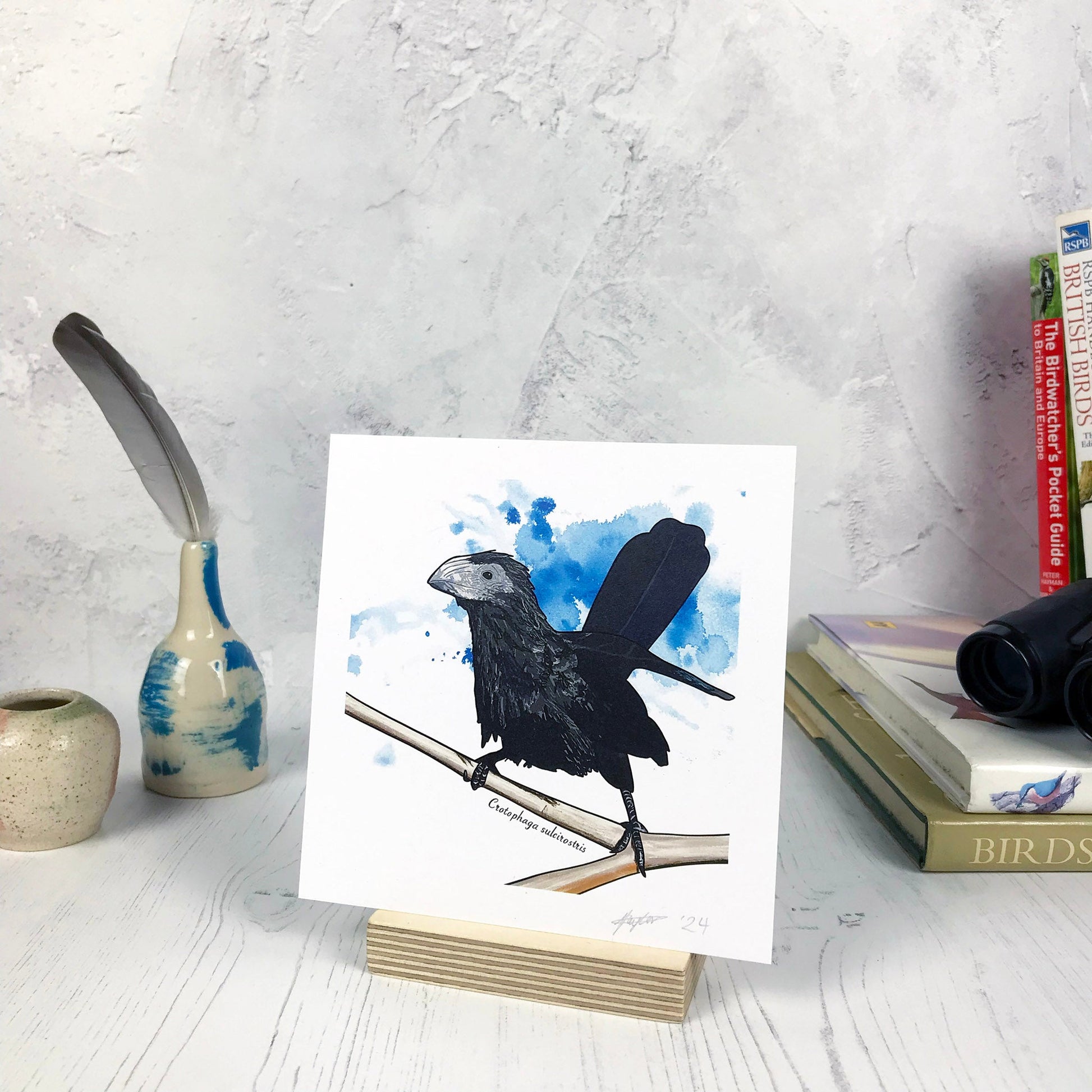 A photo of a small sized 14 cm square art print made from an original digital illustration by Loadofolbobbins. It is of a groove billed ani perched on a branch with an inky blue splodgy paint wash behind it. Underneath the branch is the Latin name for the bird Crotophaga sulcirostris. It is a very prehistoric looking bird covered in black feathers and with long tail feathers that are standing upright. It has a large grey bill that has grooves on the top. There is a 2.5 cm white border for framing.